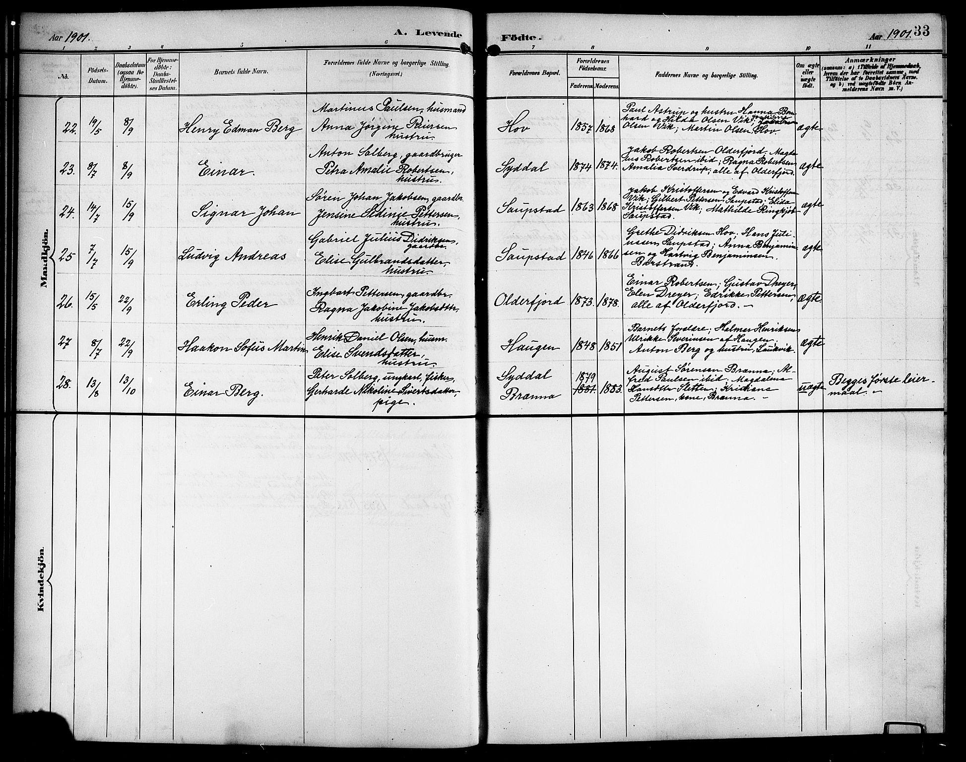 Ministerialprotokoller, klokkerbøker og fødselsregistre - Nordland, AV/SAT-A-1459/876/L1105: Parish register (copy) no. 876C04, 1896-1914, p. 33