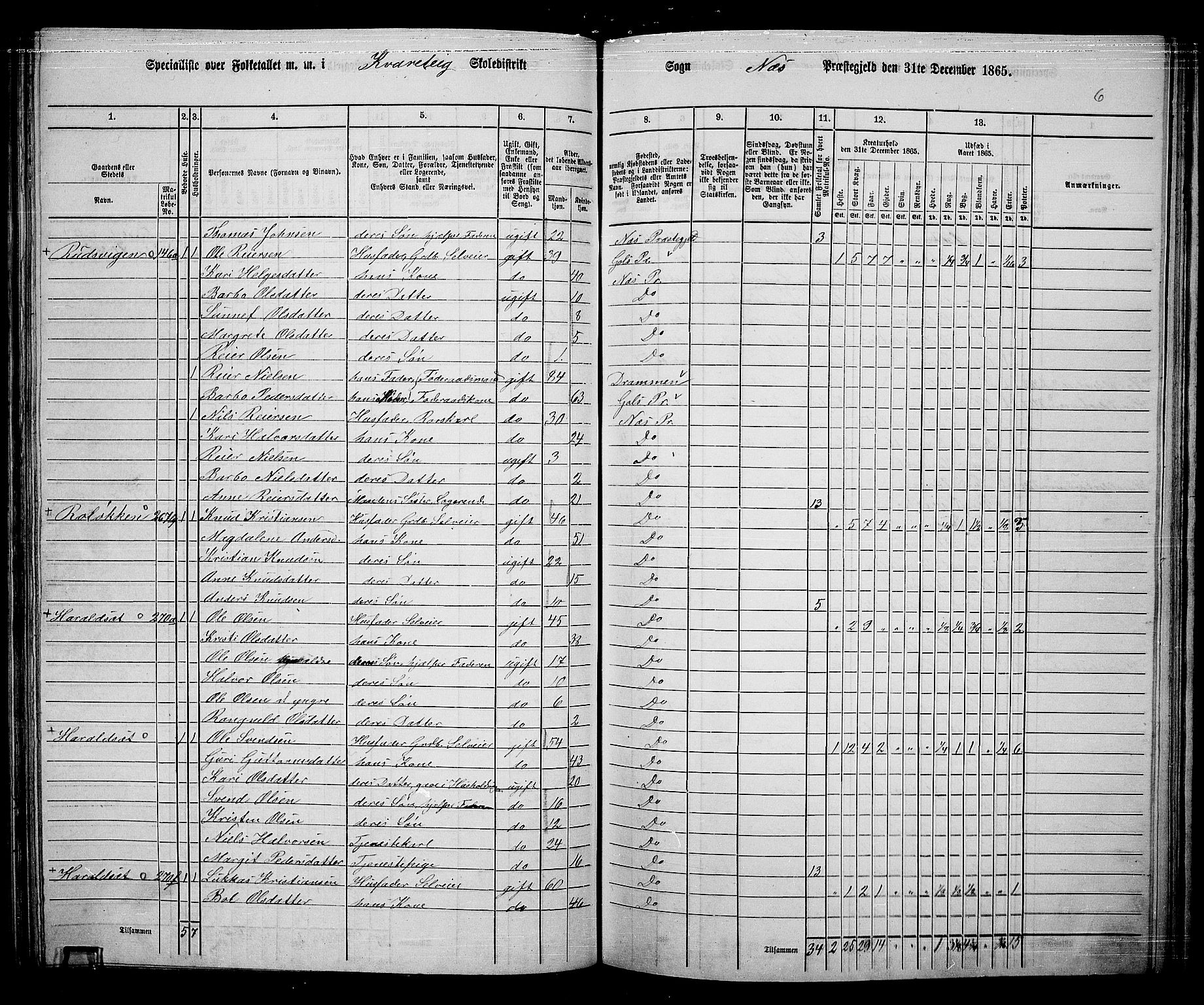 RA, 1865 census for Nes, 1865, p. 133