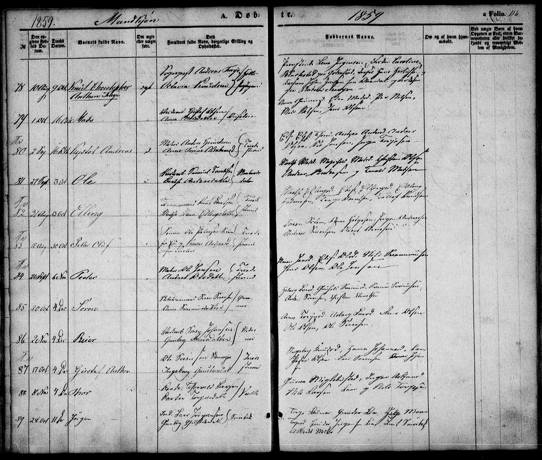 Holt sokneprestkontor, AV/SAK-1111-0021/F/Fa/L0008: Parish register (official) no. A 8, 1849-1860, p. 116