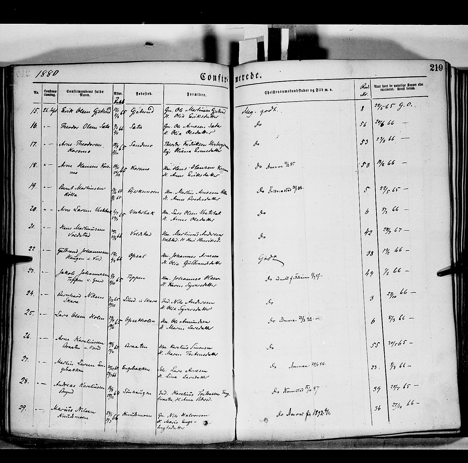 Grue prestekontor, AV/SAH-PREST-036/H/Ha/Haa/L0011: Parish register (official) no. 11, 1873-1880, p. 219