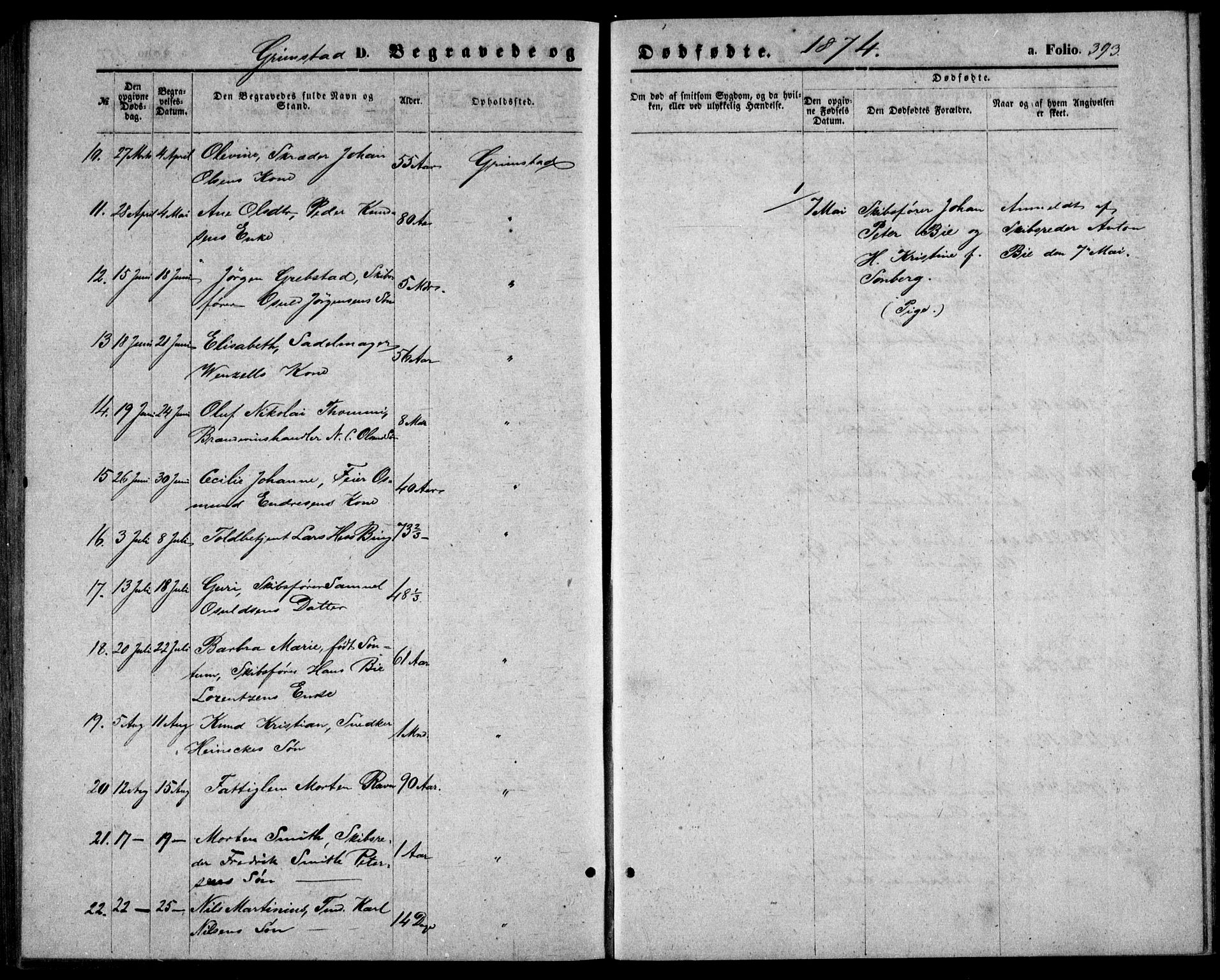 Fjære sokneprestkontor, AV/SAK-1111-0011/F/Fb/L0009: Parish register (copy) no. B 9, 1867-1870, p. 393