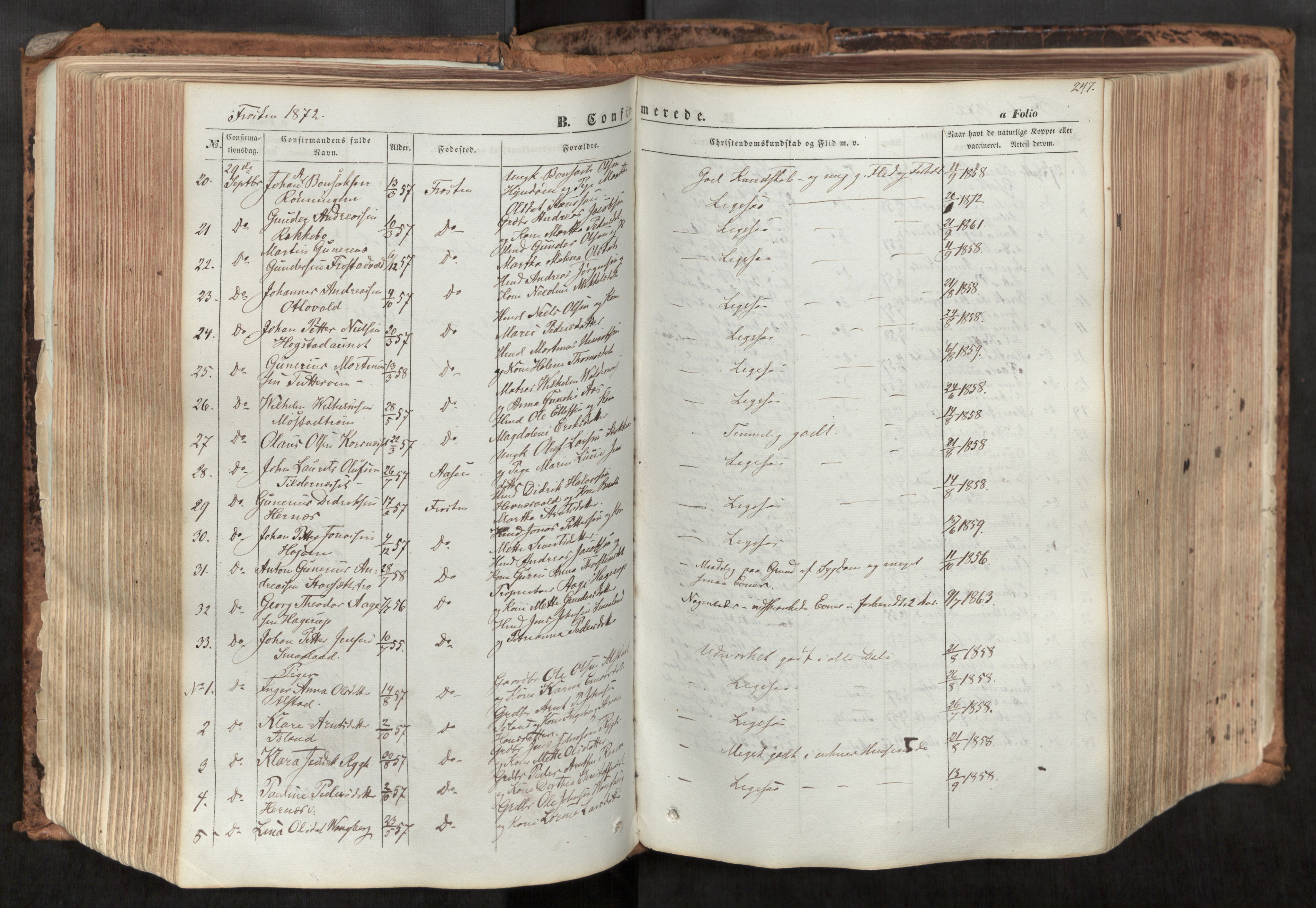 Ministerialprotokoller, klokkerbøker og fødselsregistre - Nord-Trøndelag, AV/SAT-A-1458/713/L0116: Parish register (official) no. 713A07, 1850-1877, p. 247