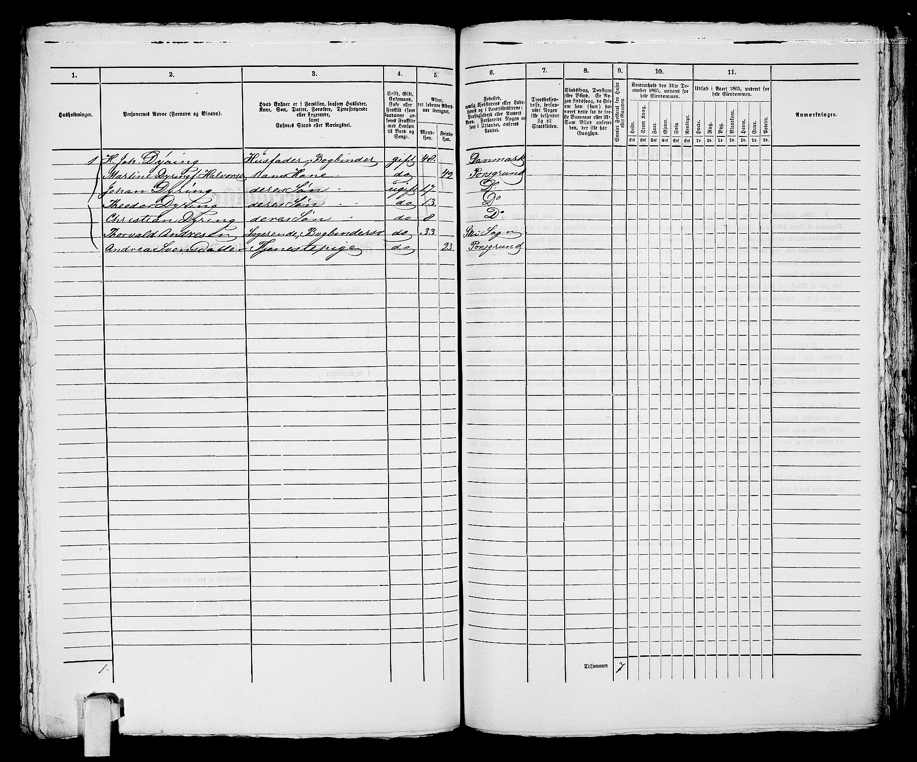 RA, 1865 census for Porsgrunn, 1865, p. 285