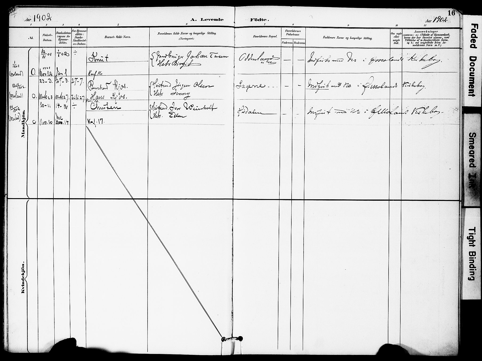 Austre Moland sokneprestkontor, AV/SAK-1111-0001/F/Fa/Fab/L0002: Parish register (official) no. A 2, 1894-1919, p. 16