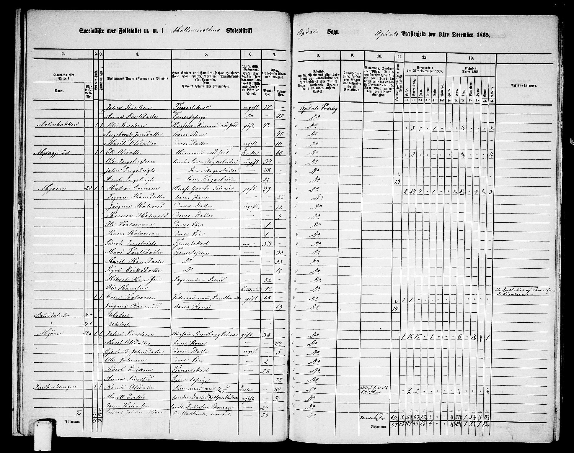 RA, 1865 census for Oppdal, 1865, p. 18