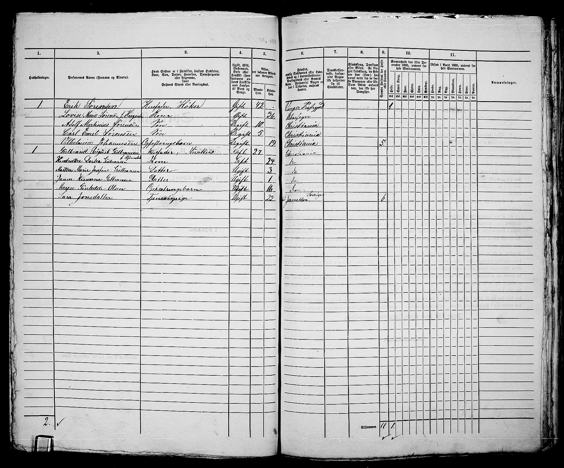 RA, 1865 census for Kristiania, 1865, p. 4319