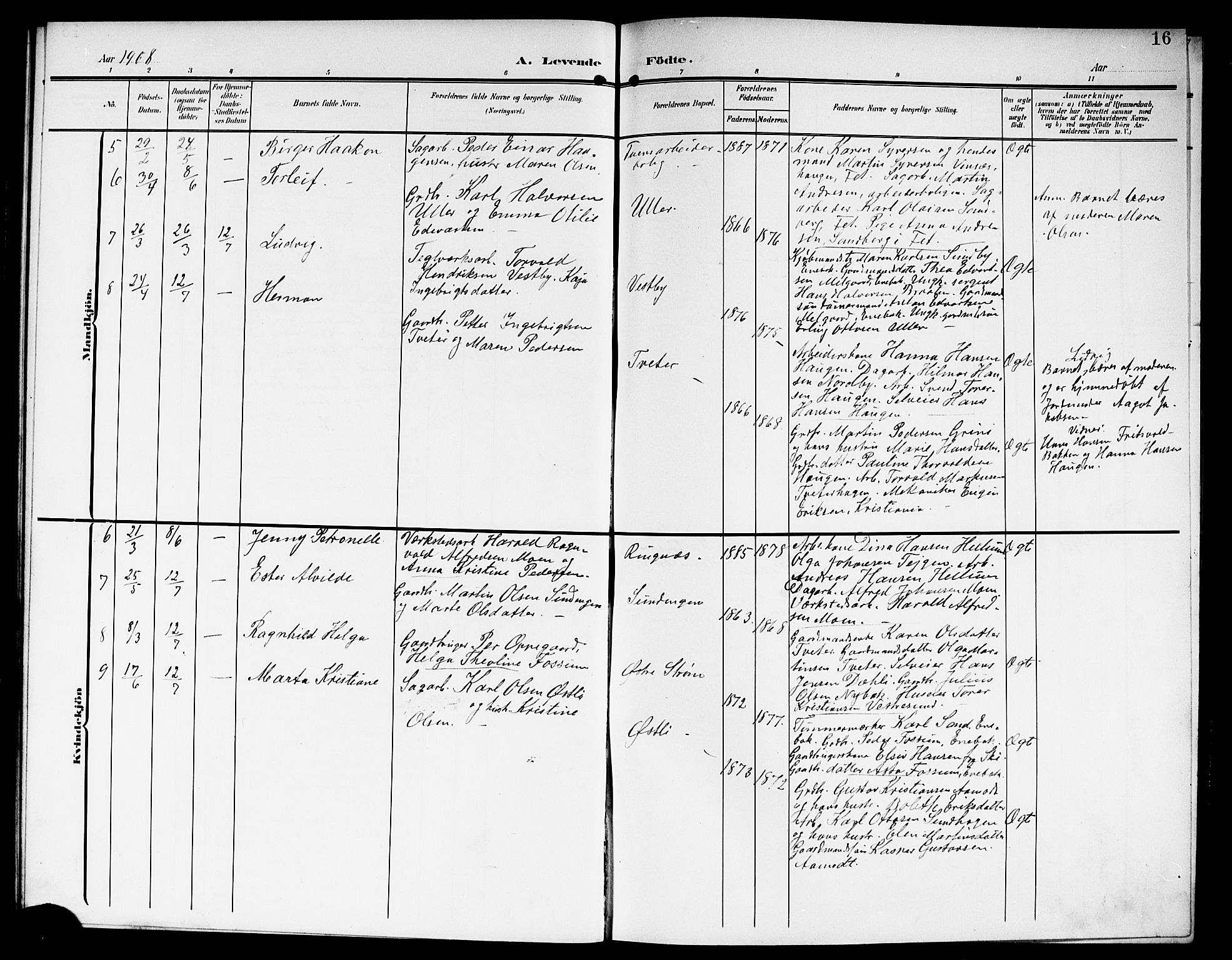 Fet prestekontor Kirkebøker, AV/SAO-A-10370a/G/Gb/L0005: Parish register (copy) no. II 5, 1904-1913, p. 16