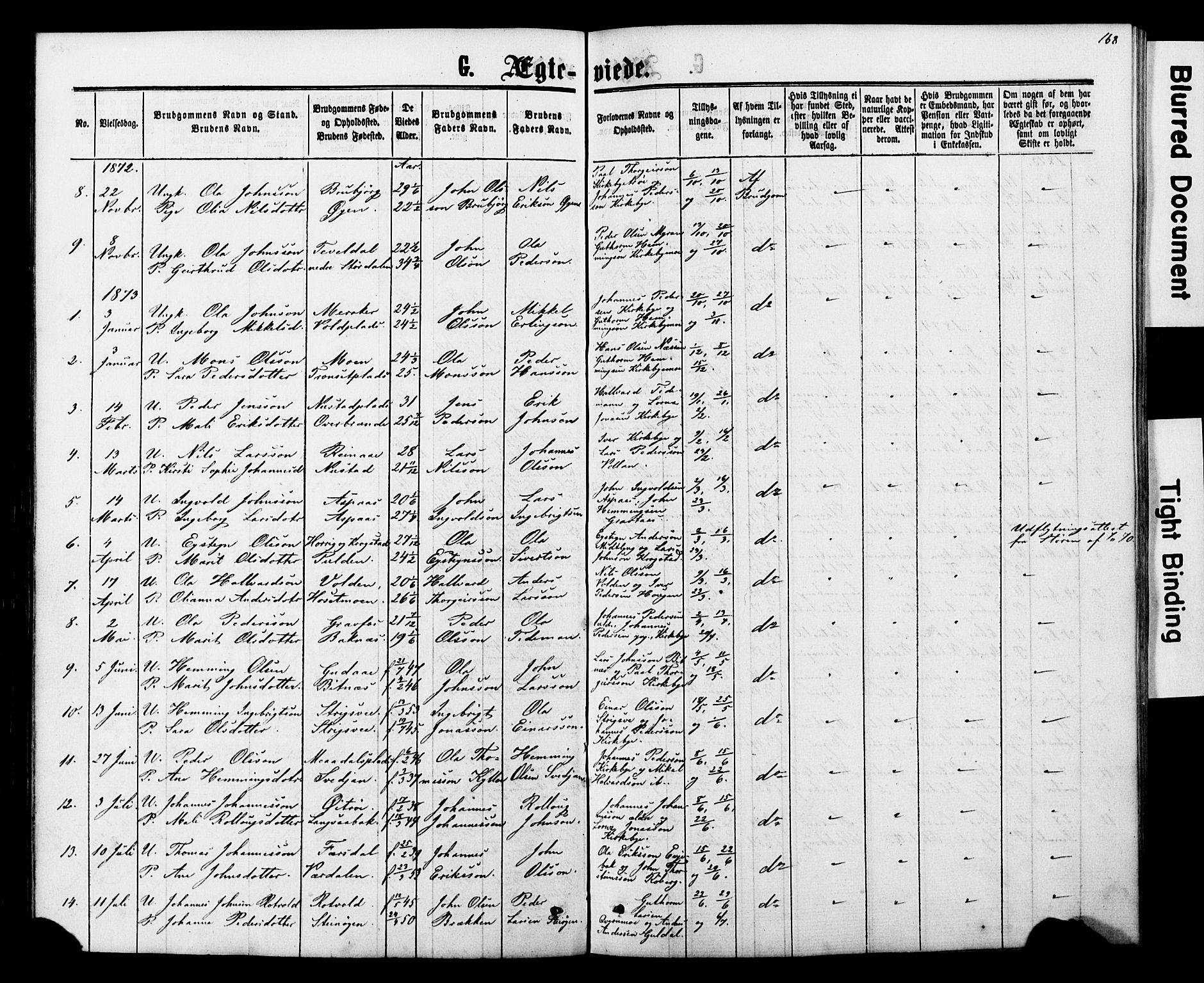 Ministerialprotokoller, klokkerbøker og fødselsregistre - Nord-Trøndelag, SAT/A-1458/706/L0049: Parish register (copy) no. 706C01, 1864-1895, p. 168