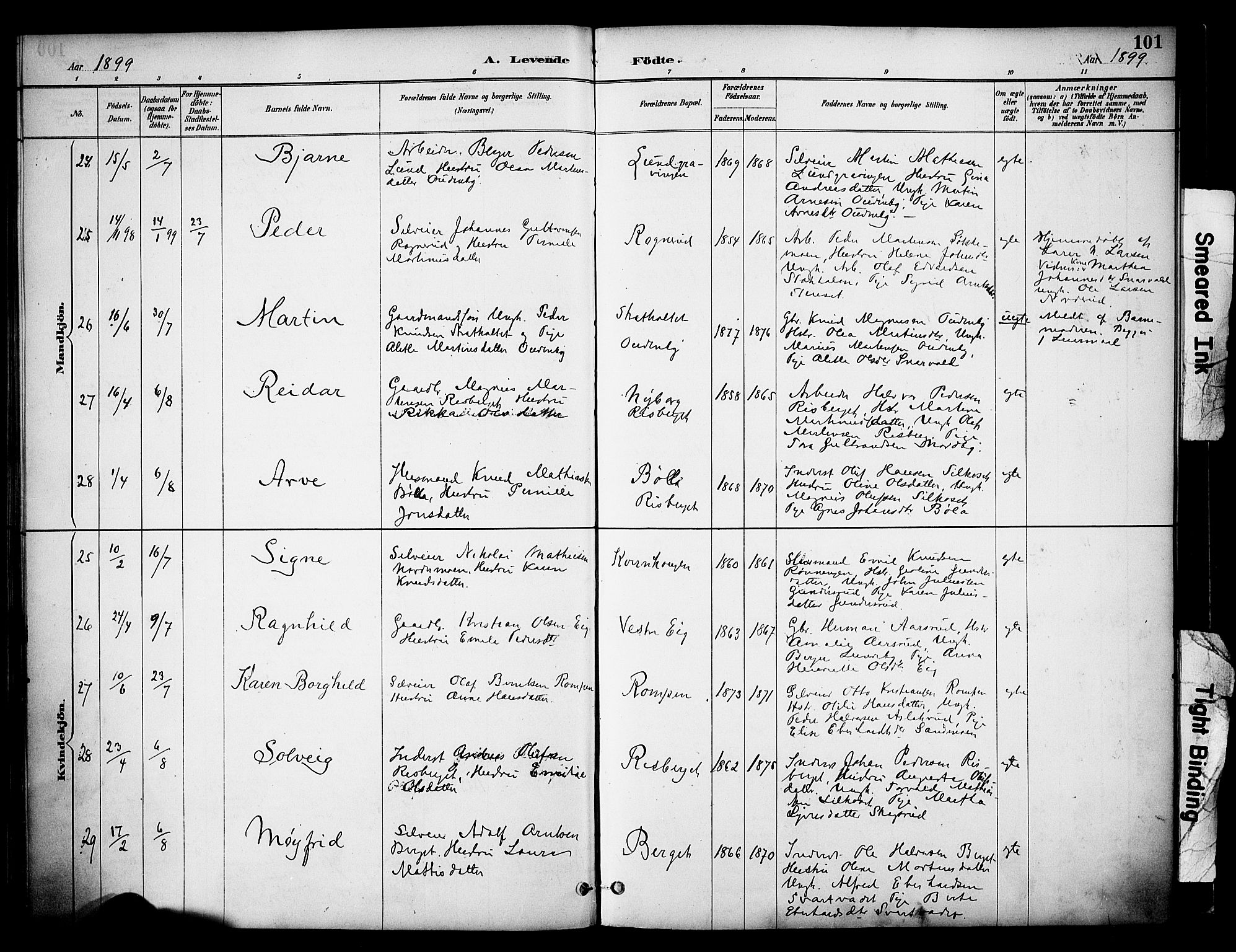 Våler prestekontor, Hedmark, AV/SAH-PREST-040/H/Ha/Haa/L0005: Parish register (official) no. 5, 1887-1905, p. 101