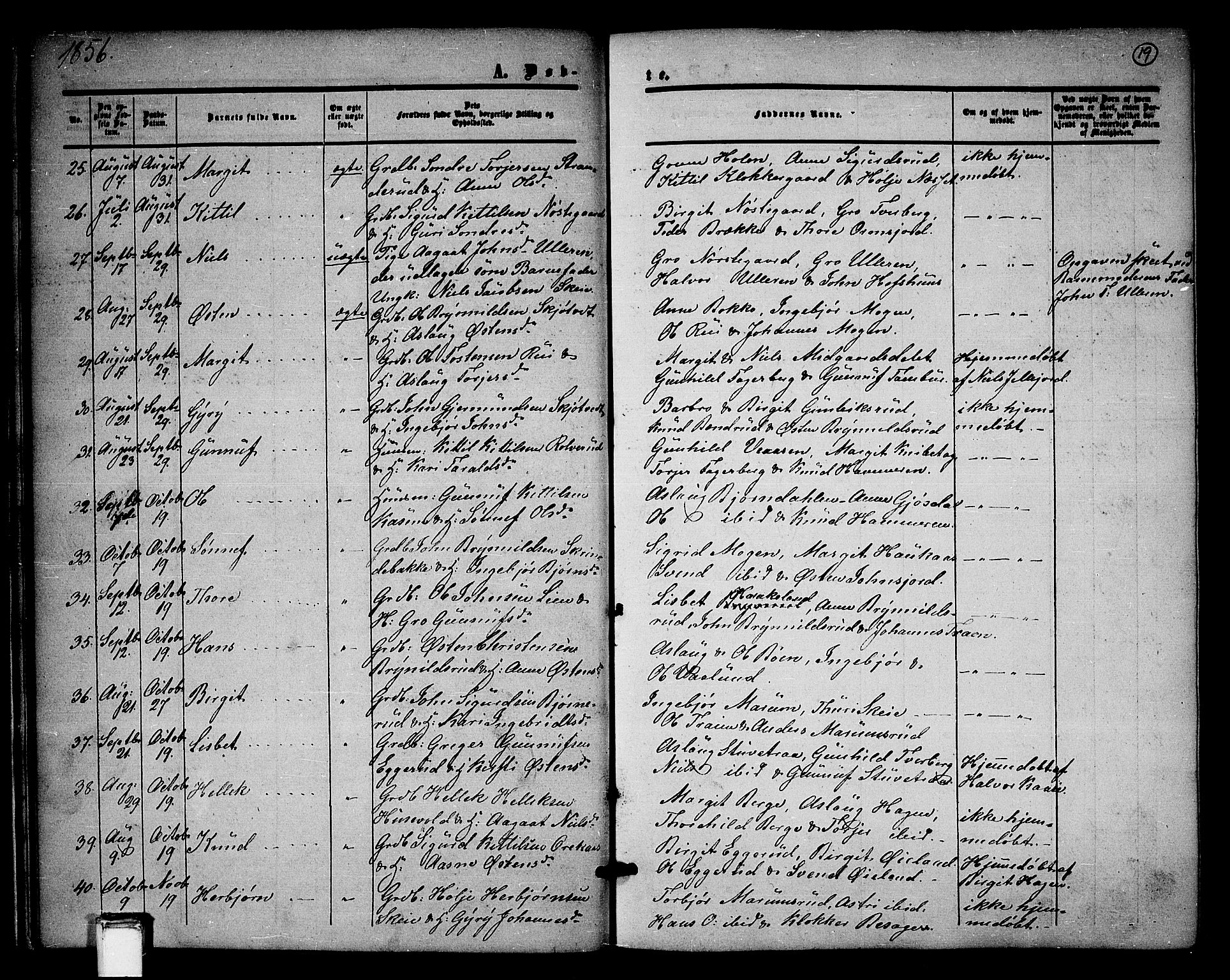 Tinn kirkebøker, SAKO/A-308/G/Ga/L0002: Parish register (copy) no. I 2, 1851-1883, p. 19
