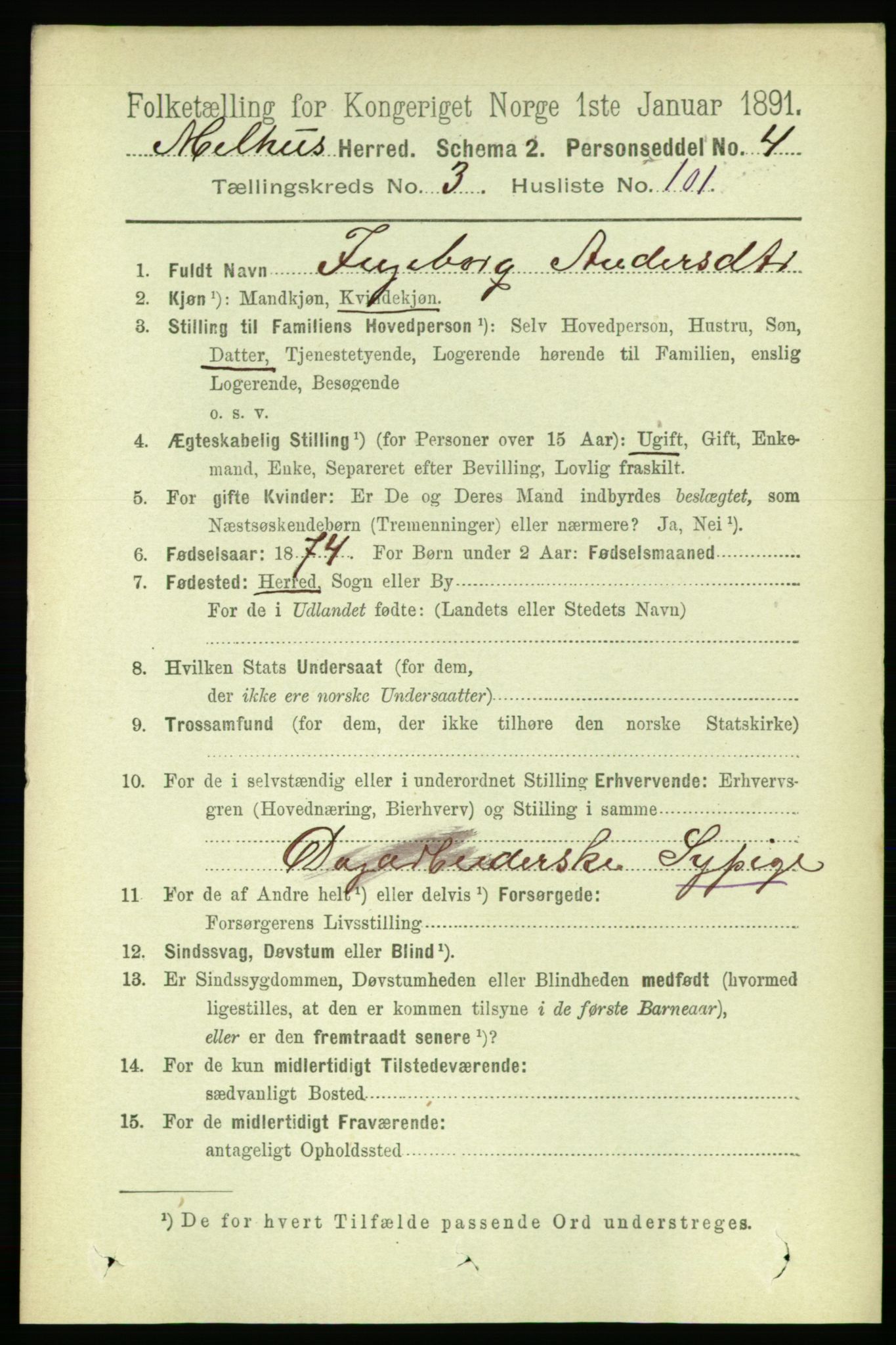 RA, 1891 census for 1653 Melhus, 1891, p. 1893