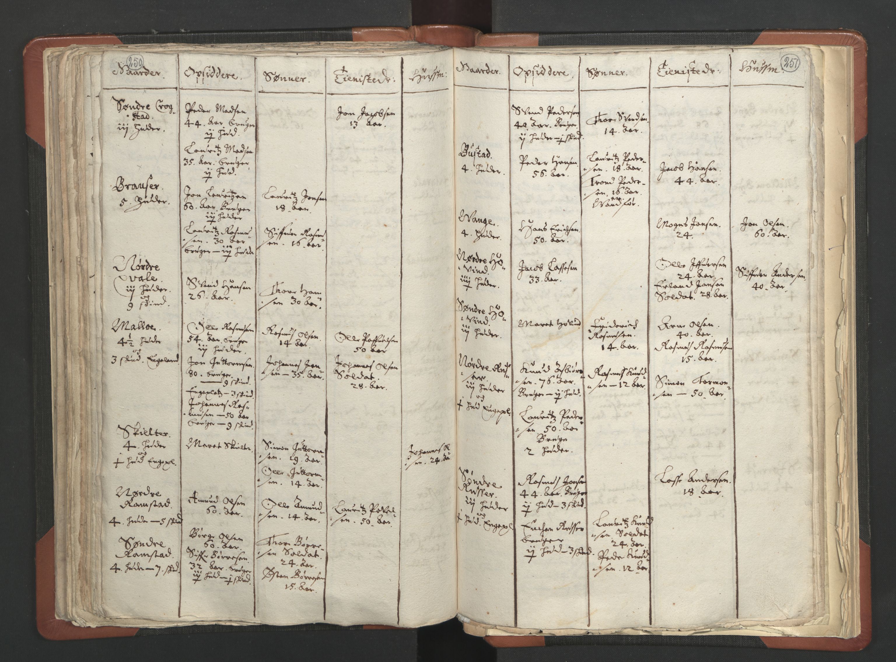 RA, Vicar's Census 1664-1666, no. 6: Gudbrandsdal deanery, 1664-1666, p. 250-251