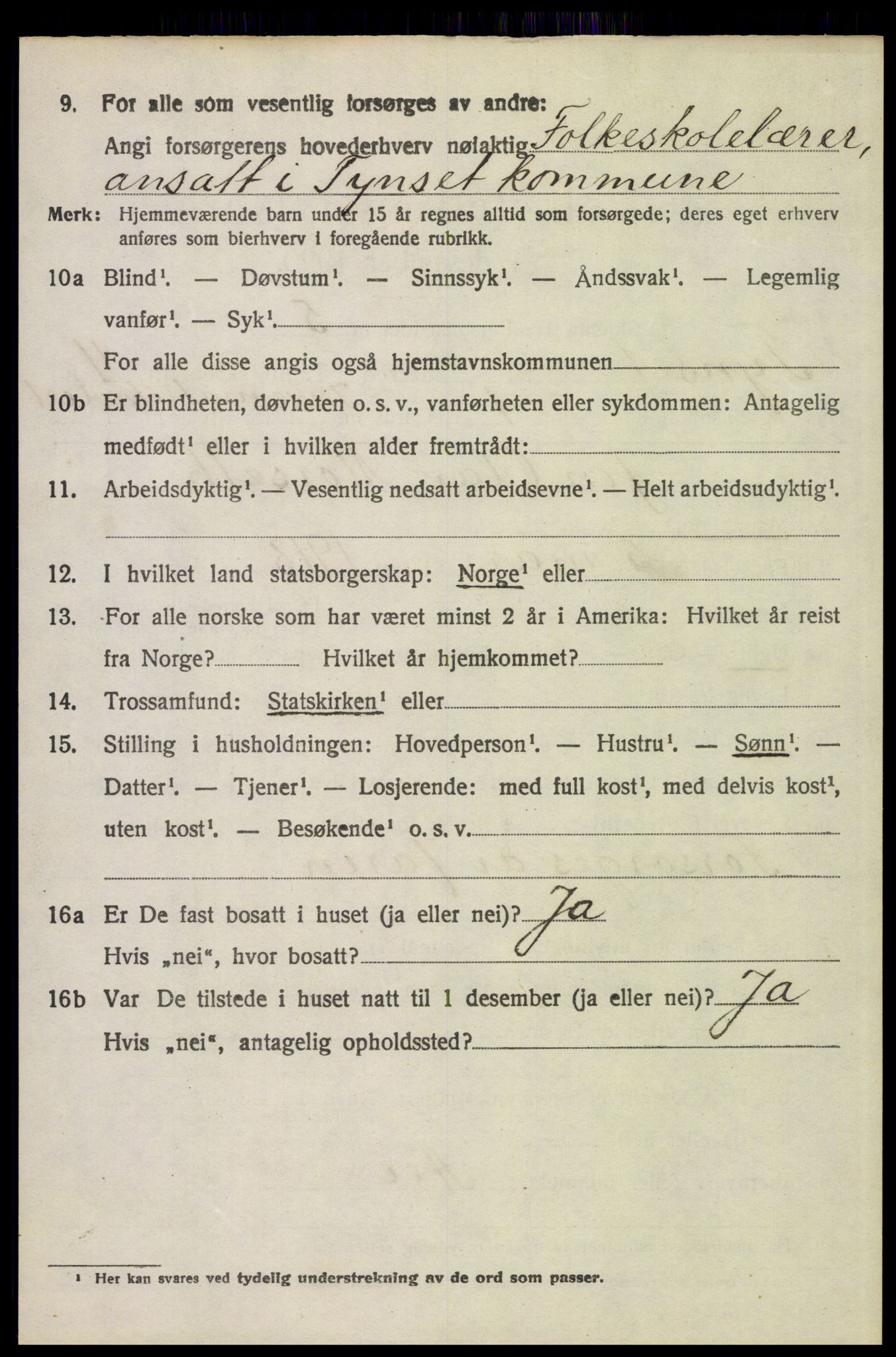 SAH, 1920 census for Tynset, 1920, p. 3185