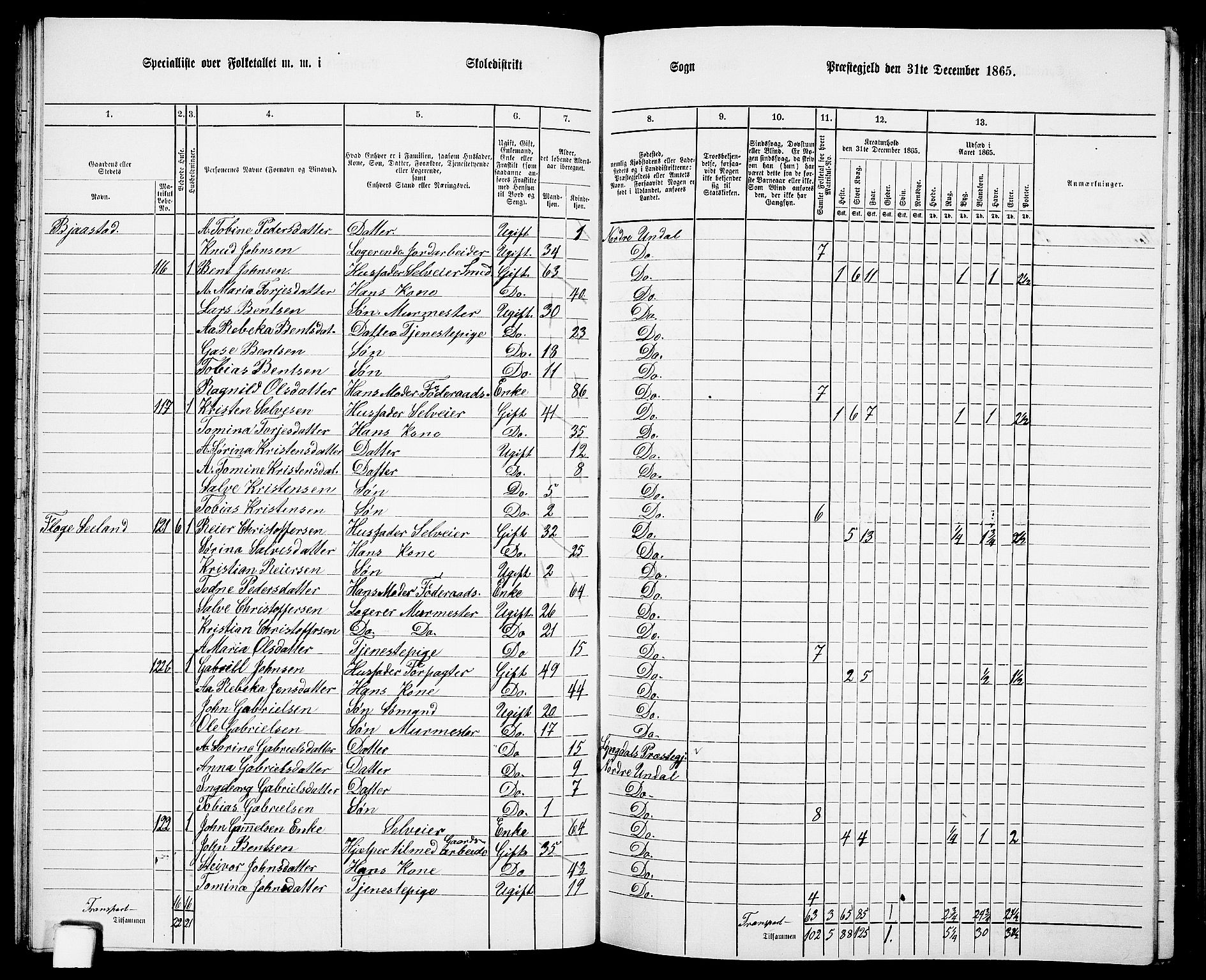 RA, 1865 census for Nord-Audnedal, 1865, p. 31