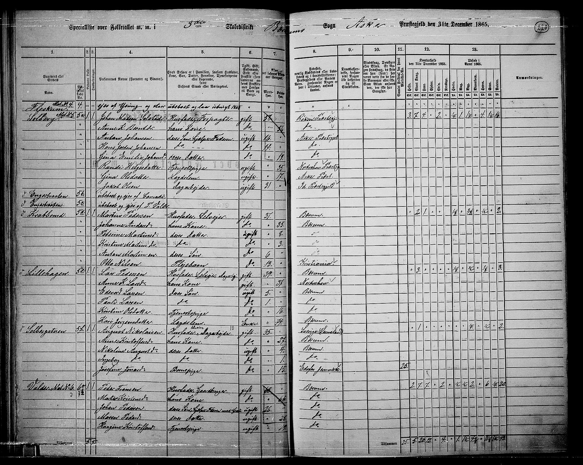 RA, 1865 census for Asker, 1865, p. 212