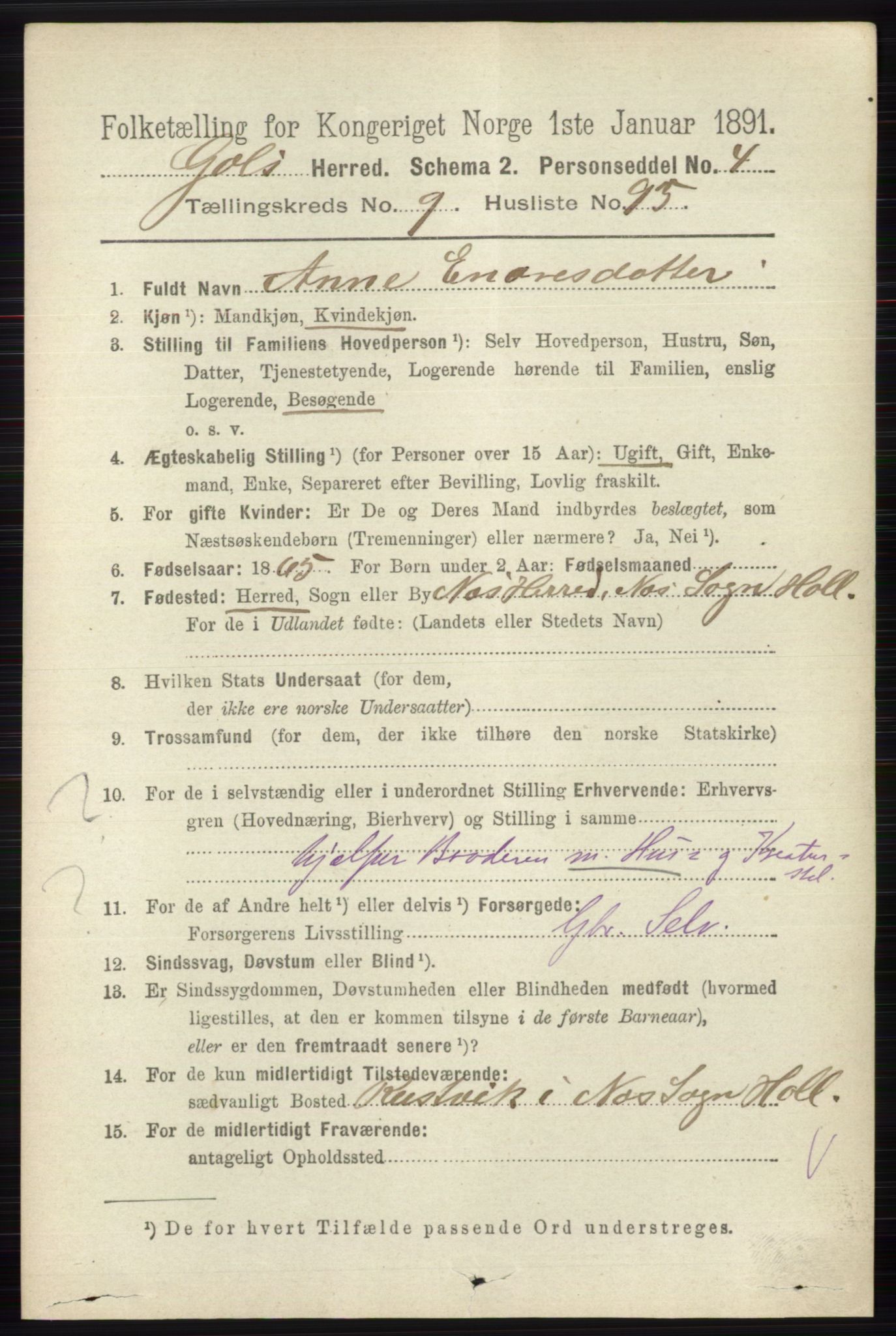 RA, 1891 census for 0617 Gol og Hemsedal, 1891, p. 3972