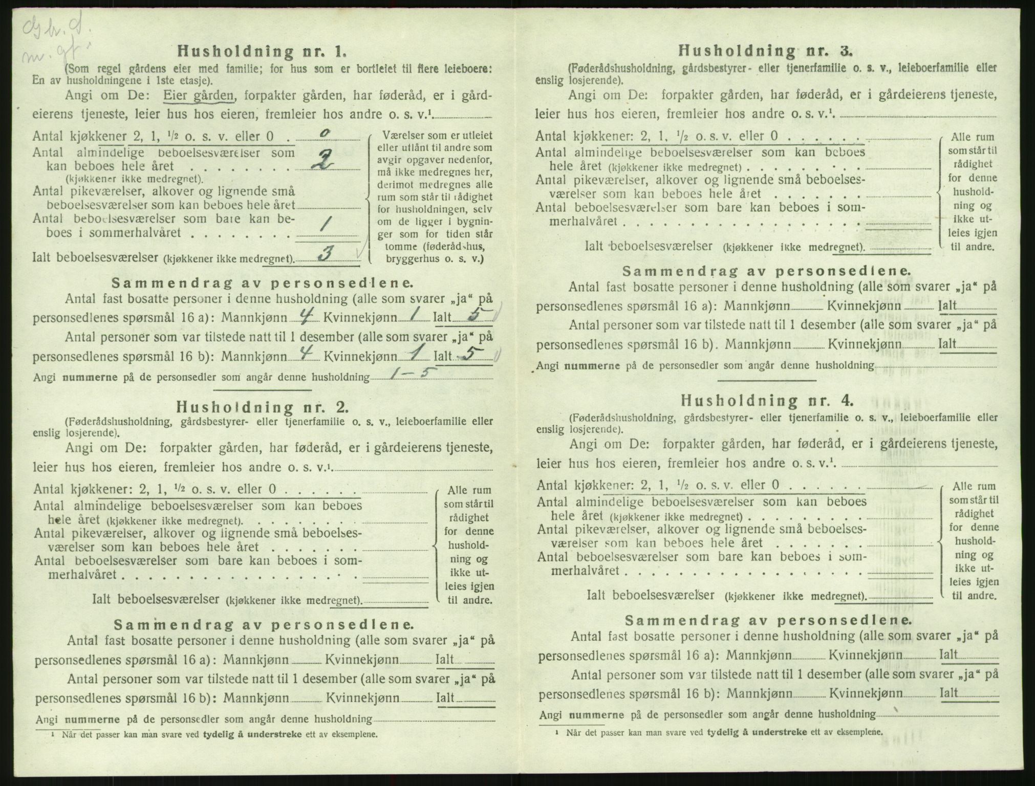 SAK, 1920 census for Valle, 1920, p. 204