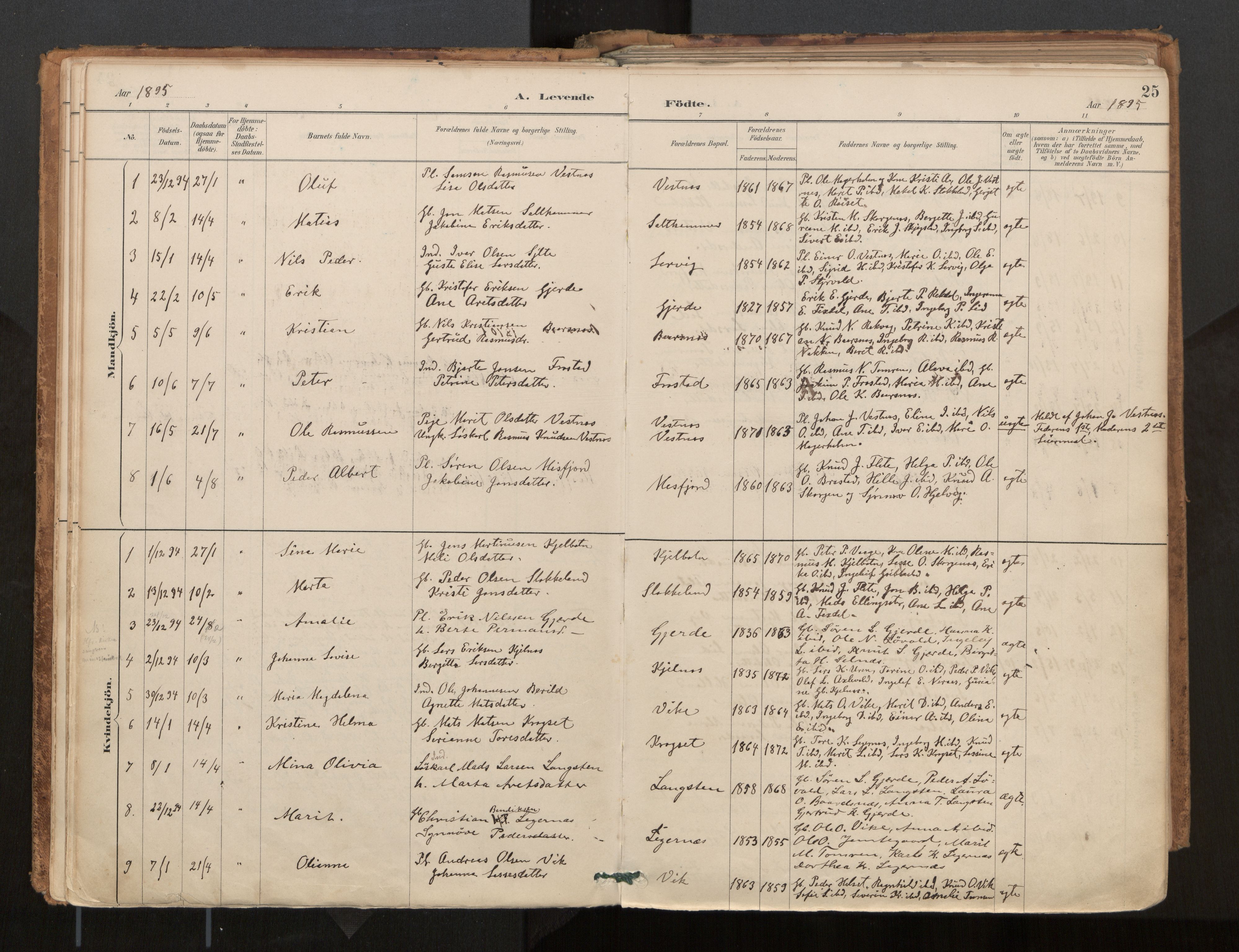 Ministerialprotokoller, klokkerbøker og fødselsregistre - Møre og Romsdal, AV/SAT-A-1454/539/L0531: Parish register (official) no. 539A04, 1887-1913, p. 25