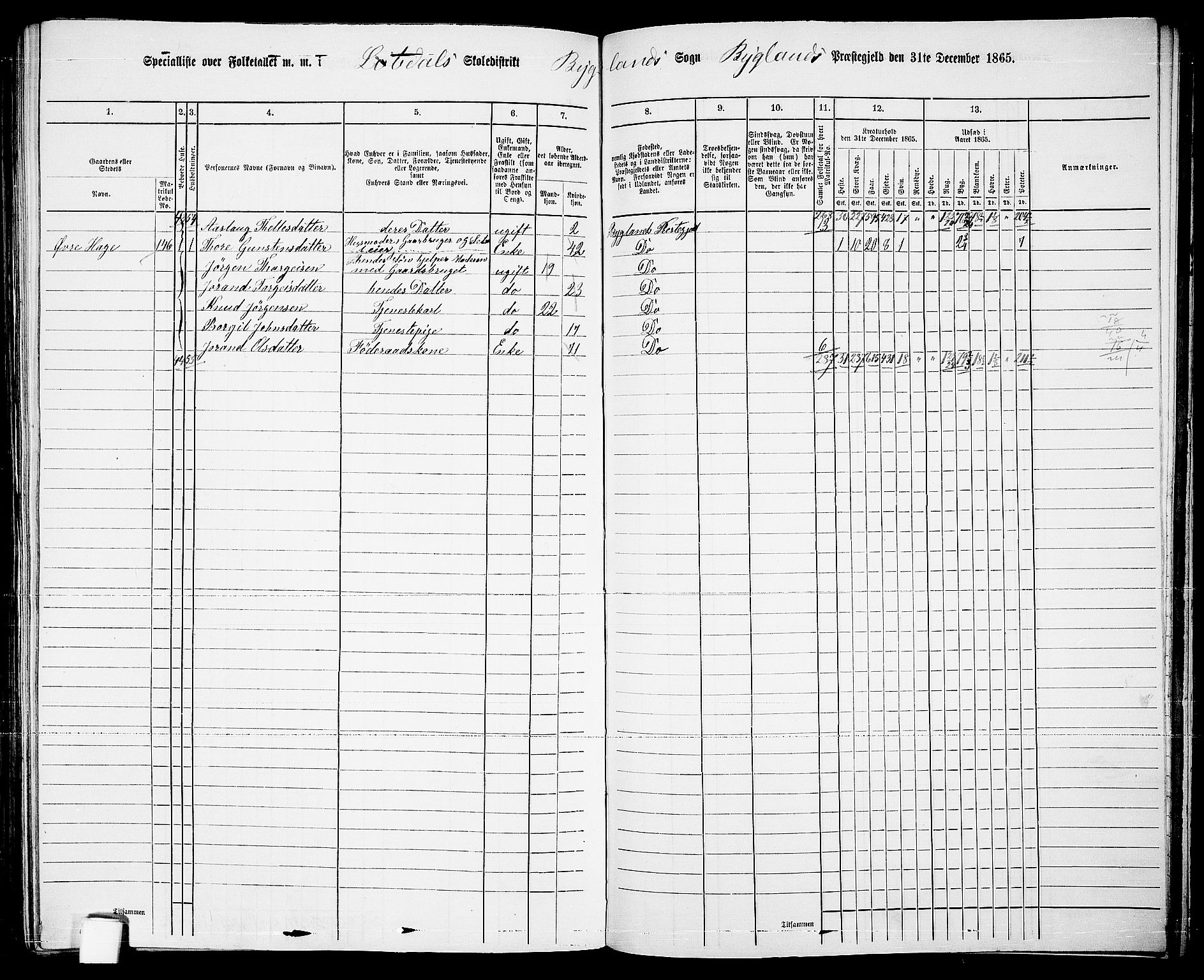 RA, 1865 census for Bygland, 1865, p. 77