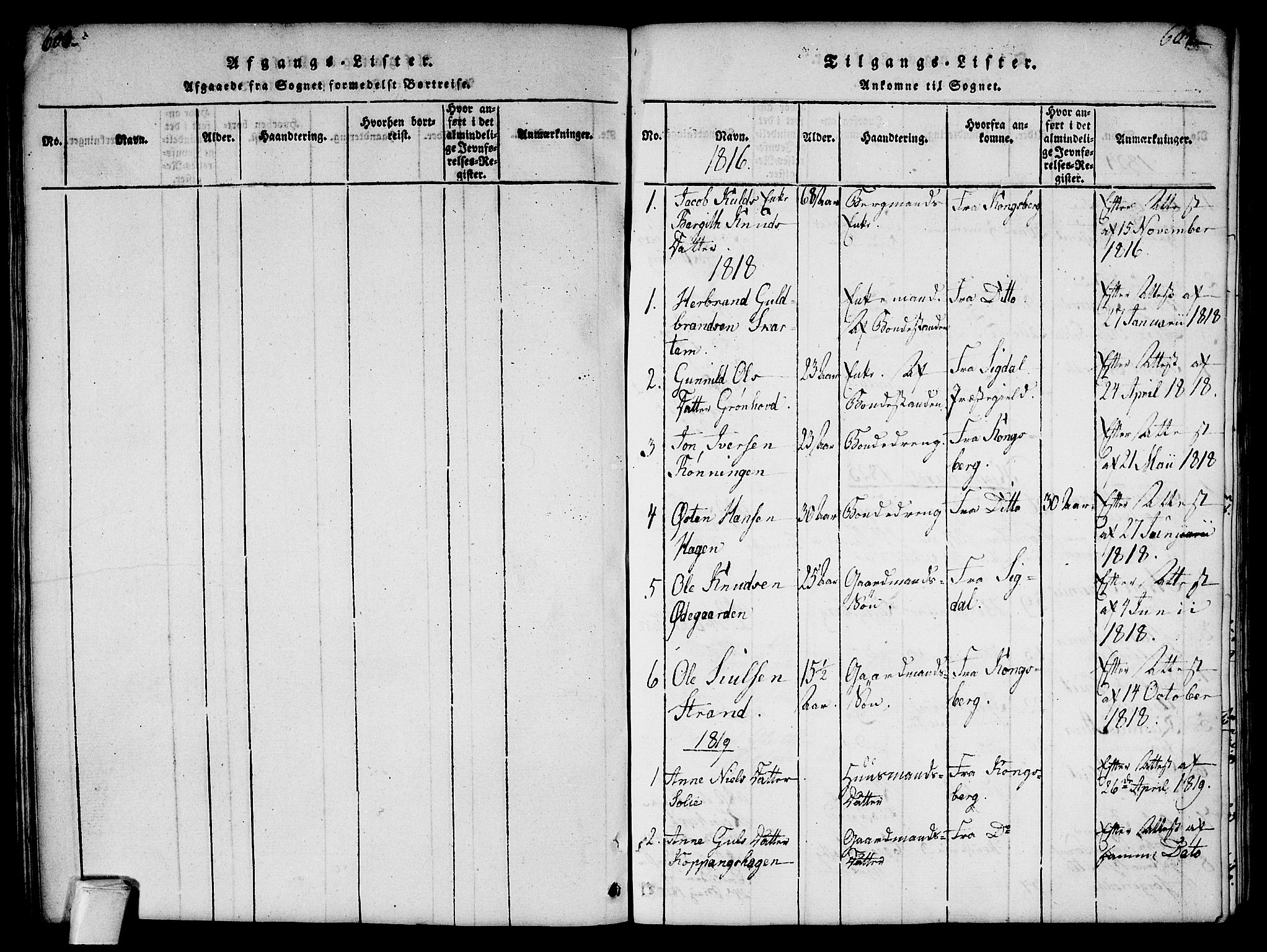 Flesberg kirkebøker, SAKO/A-18/G/Ga/L0001: Parish register (copy) no. I 1, 1816-1834, p. 601-602