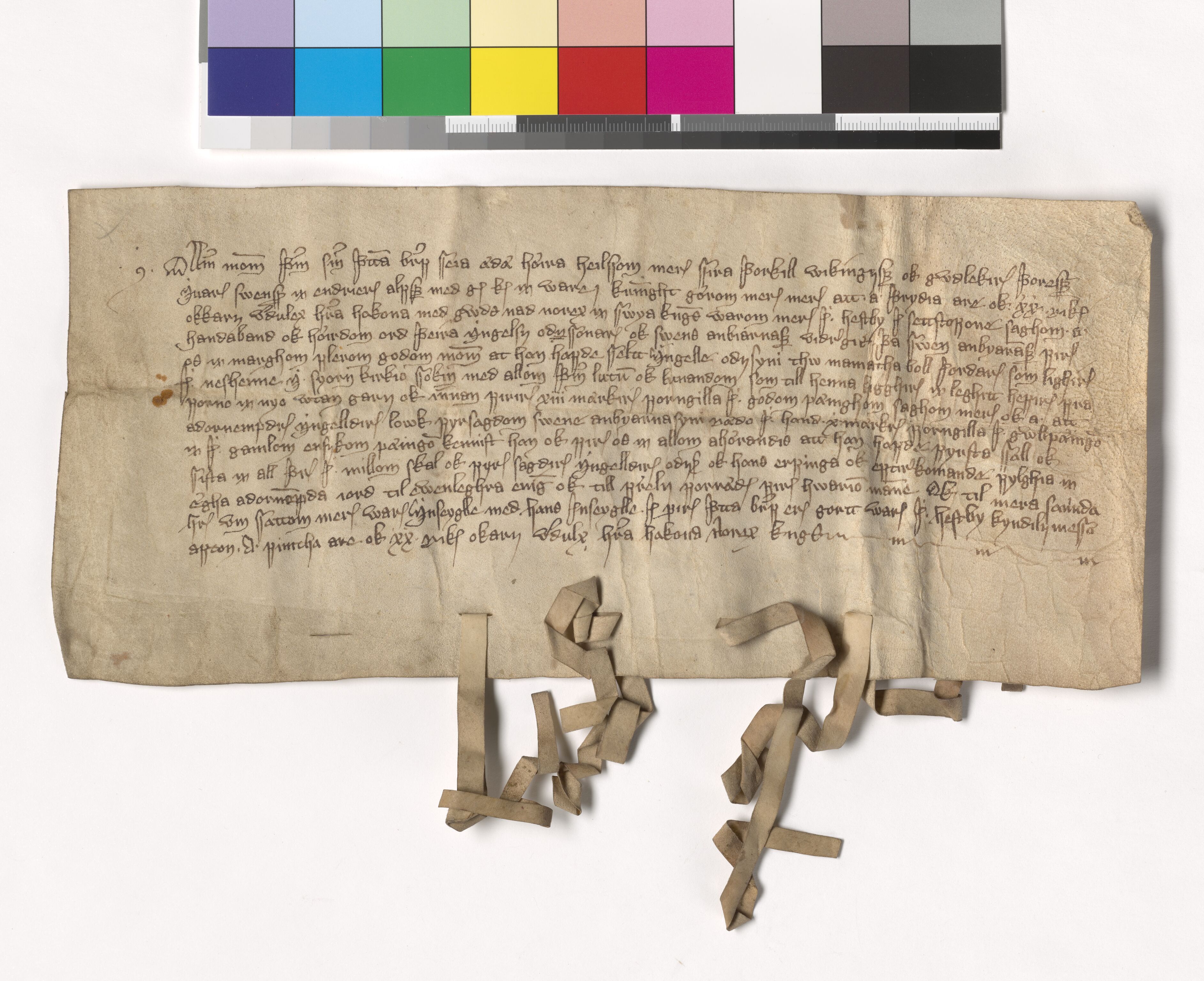 Riksarkivets diplomsamling, AV/RA-EA-5965/F05/L0112: NRA AM fasc. 36 nr. 8-12, 1378-1380, p. 11