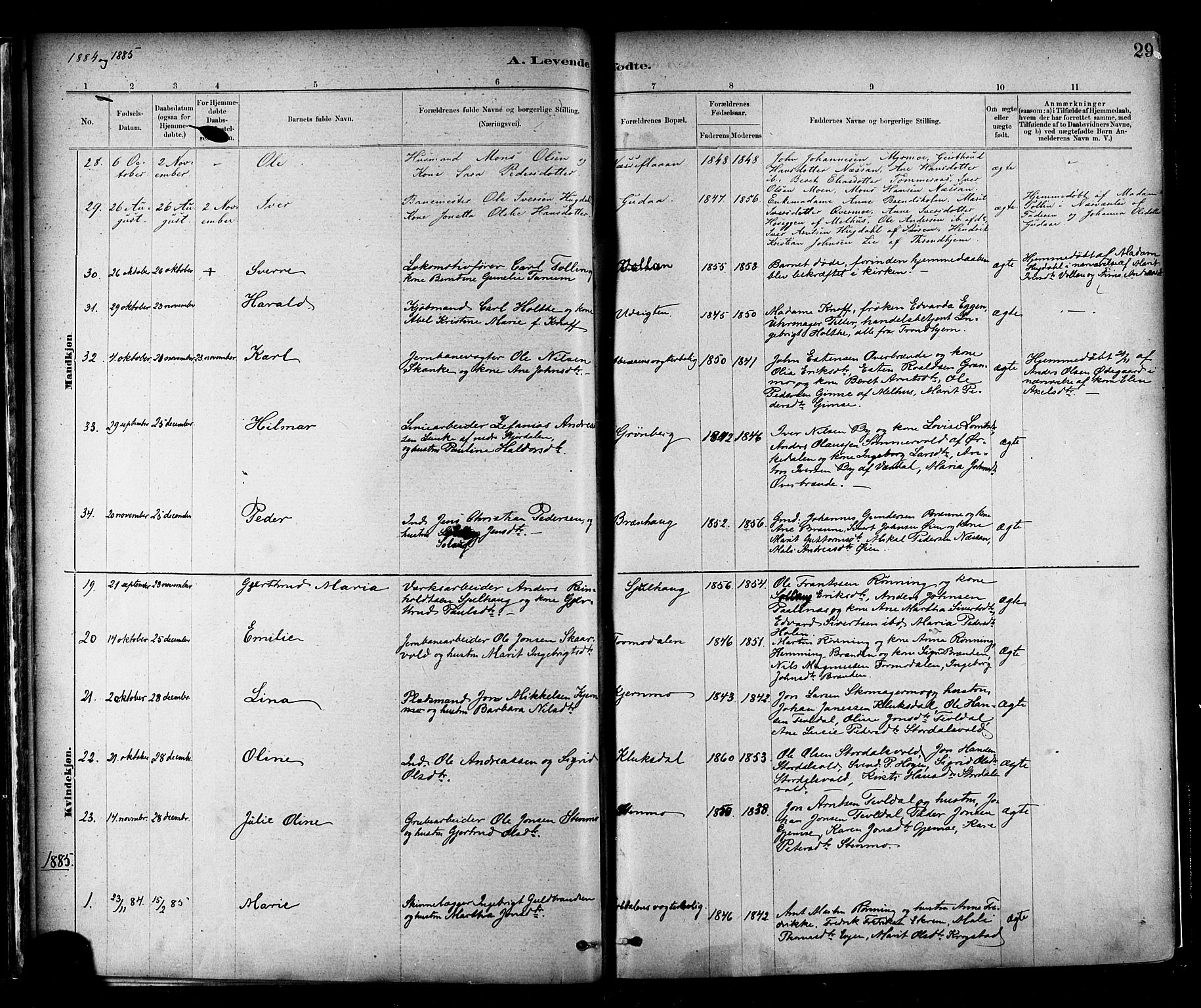 Ministerialprotokoller, klokkerbøker og fødselsregistre - Nord-Trøndelag, AV/SAT-A-1458/706/L0047: Parish register (official) no. 706A03, 1878-1892, p. 29