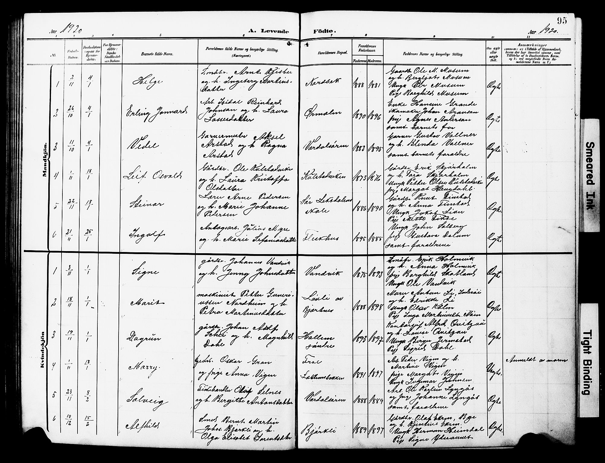 Ministerialprotokoller, klokkerbøker og fødselsregistre - Nord-Trøndelag, SAT/A-1458/723/L0258: Parish register (copy) no. 723C06, 1908-1927, p. 95