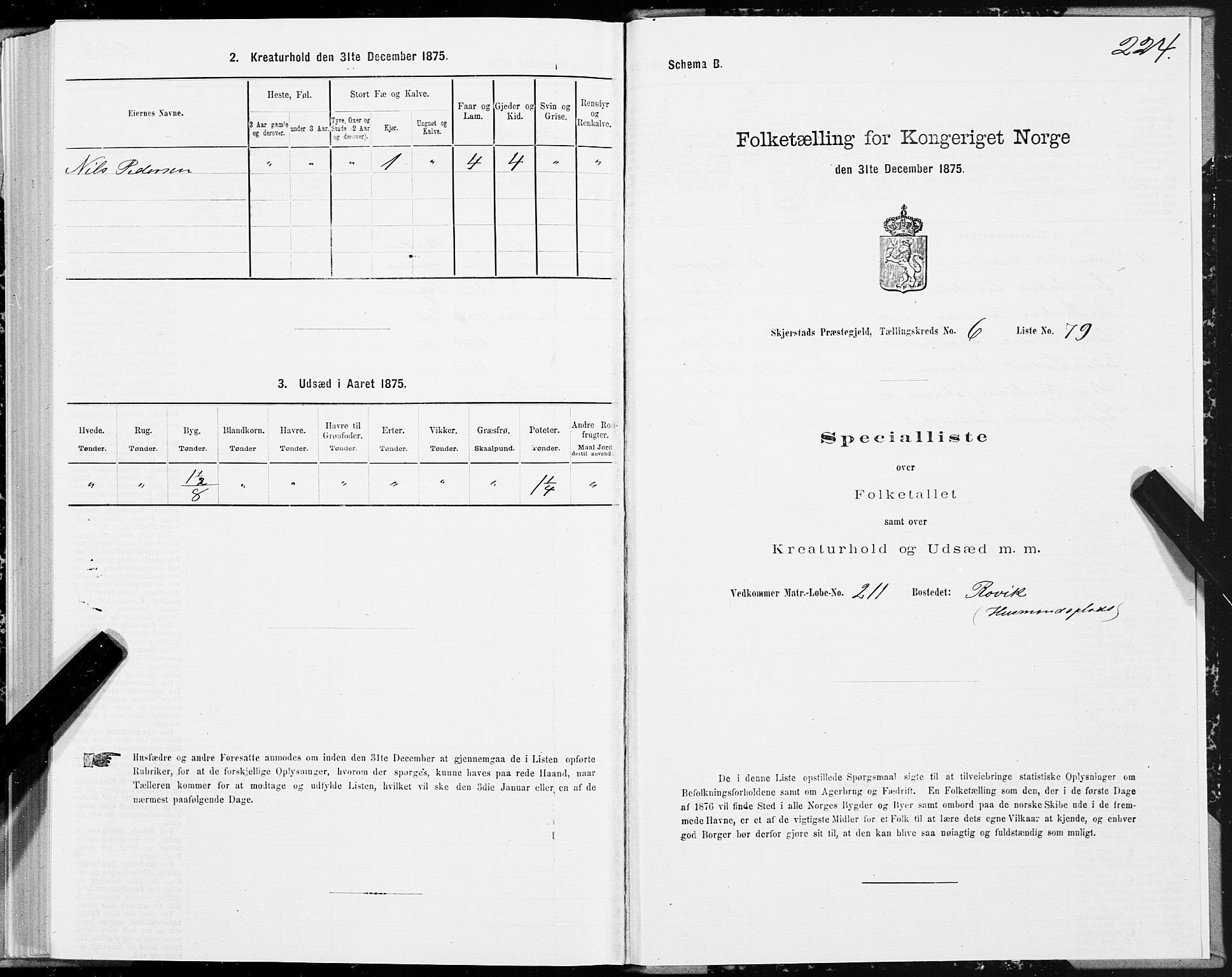 SAT, 1875 census for 1842P Skjerstad, 1875, p. 3224