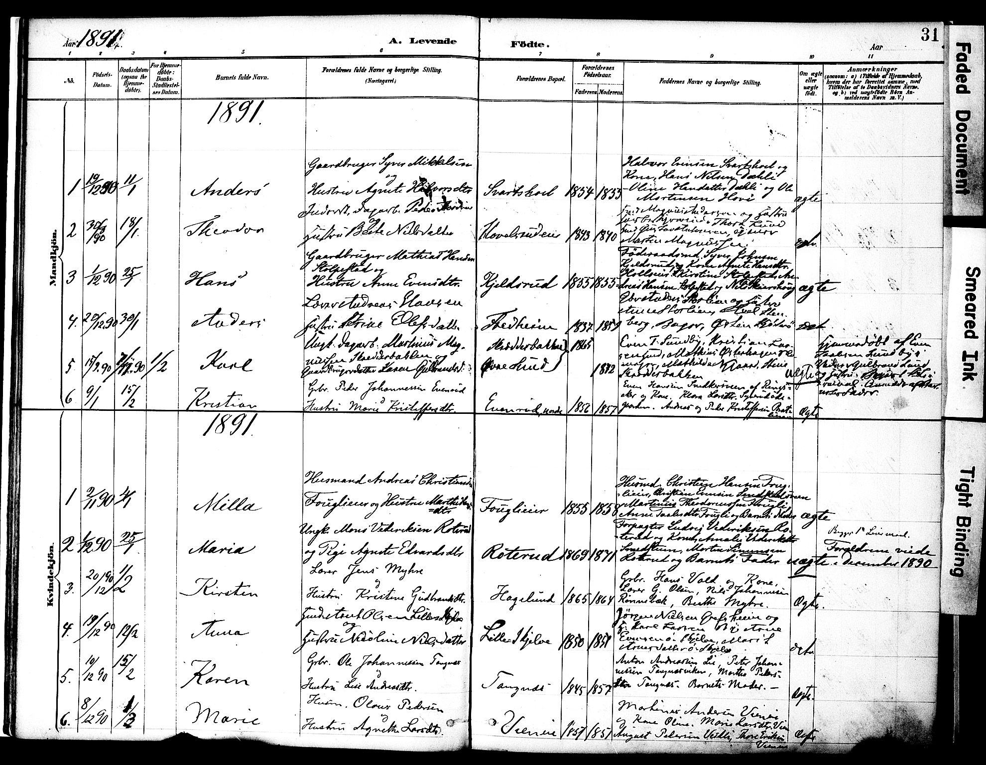 Nes prestekontor, Hedmark, SAH/PREST-020/K/Ka/L0009: Parish register (official) no. 9, 1887-1905, p. 31
