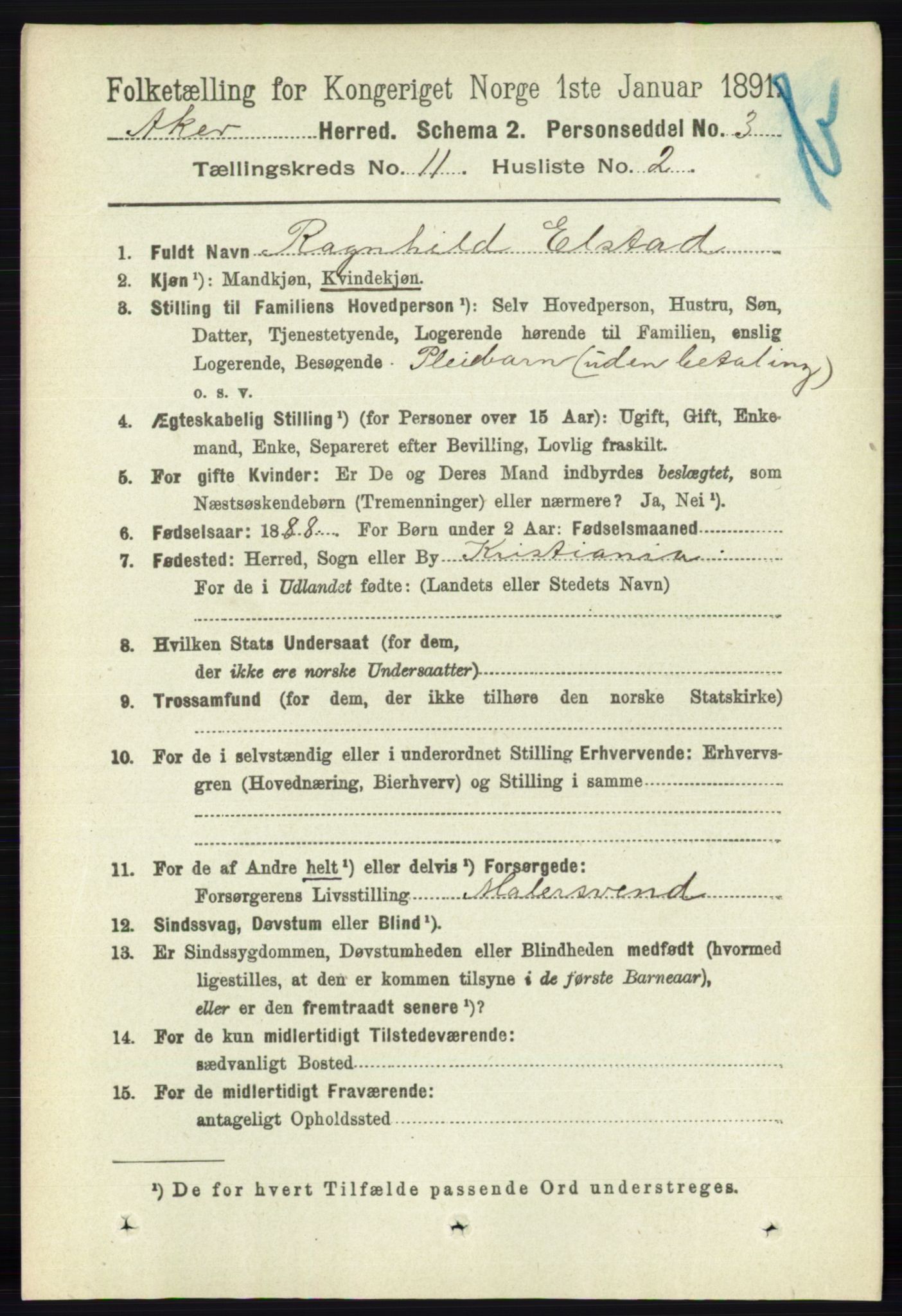 RA, 1891 census for 0218 Aker, 1891, p. 10190