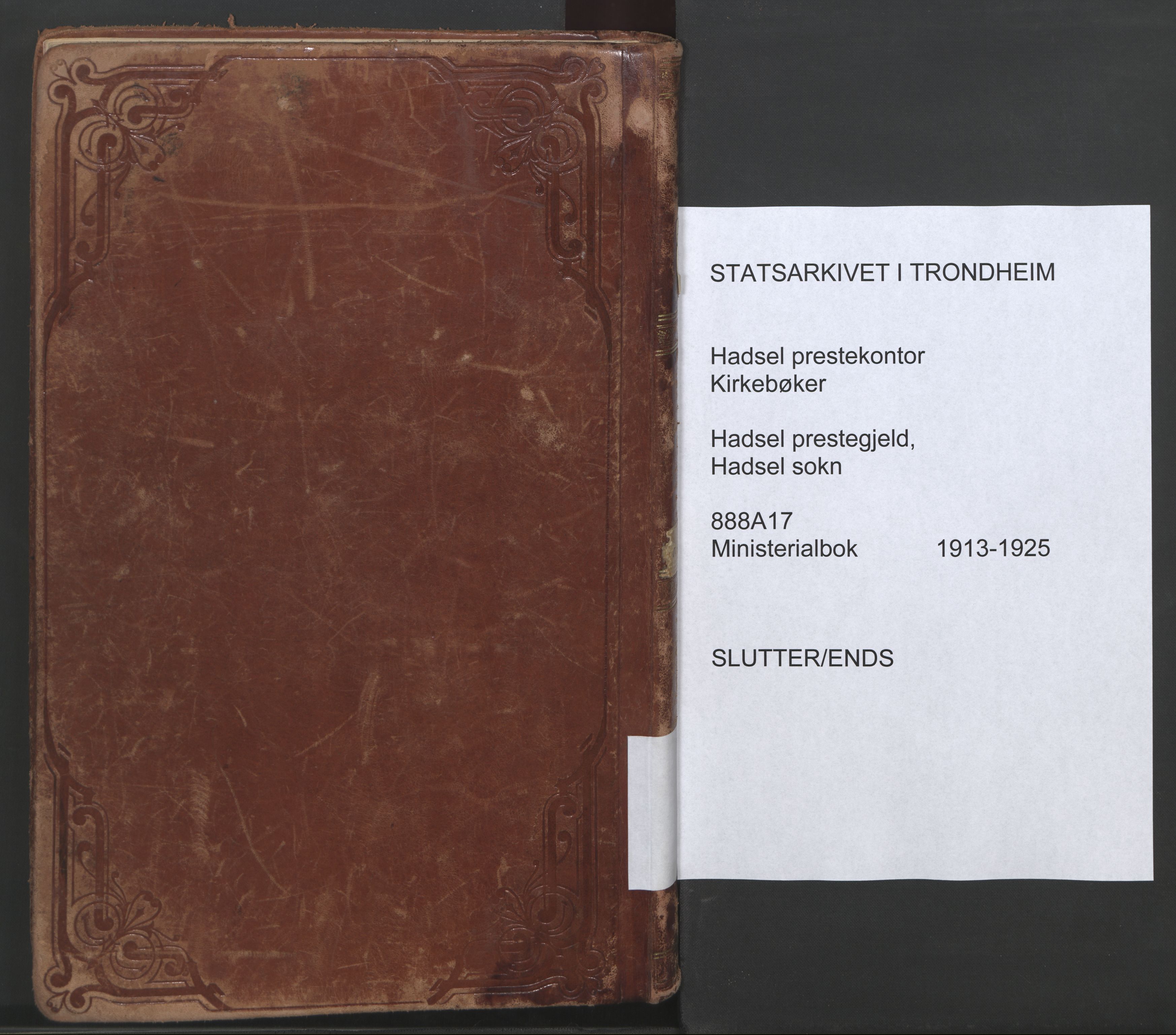 Ministerialprotokoller, klokkerbøker og fødselsregistre - Nordland, AV/SAT-A-1459/888/L1251: Parish register (official) no. 888A17, 1913-1925