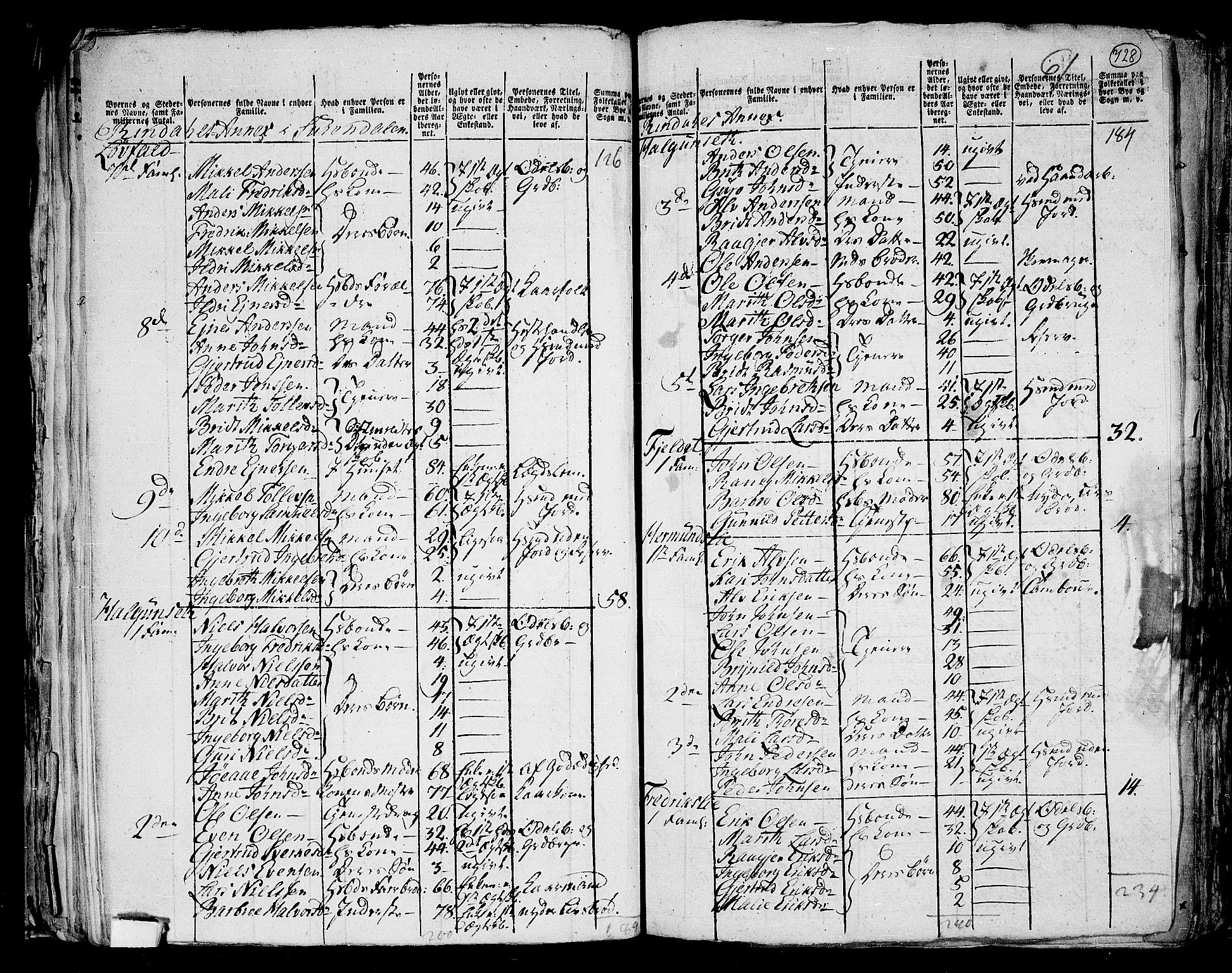 RA, 1801 census for 1566P Surnadal, 1801, p. 727b-728a