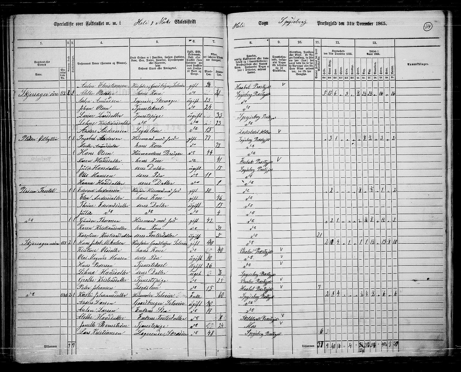 RA, 1865 census for Spydeberg, 1865, p. 102