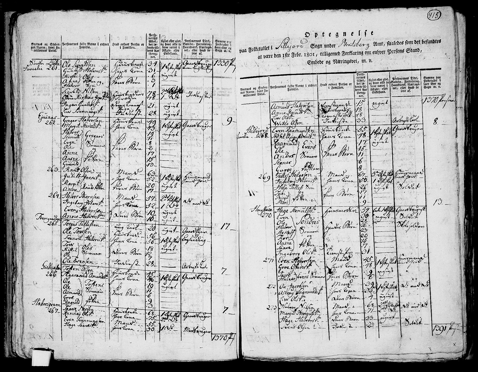 RA, 1801 census for 0828P Seljord, 1801, p. 414b-415a