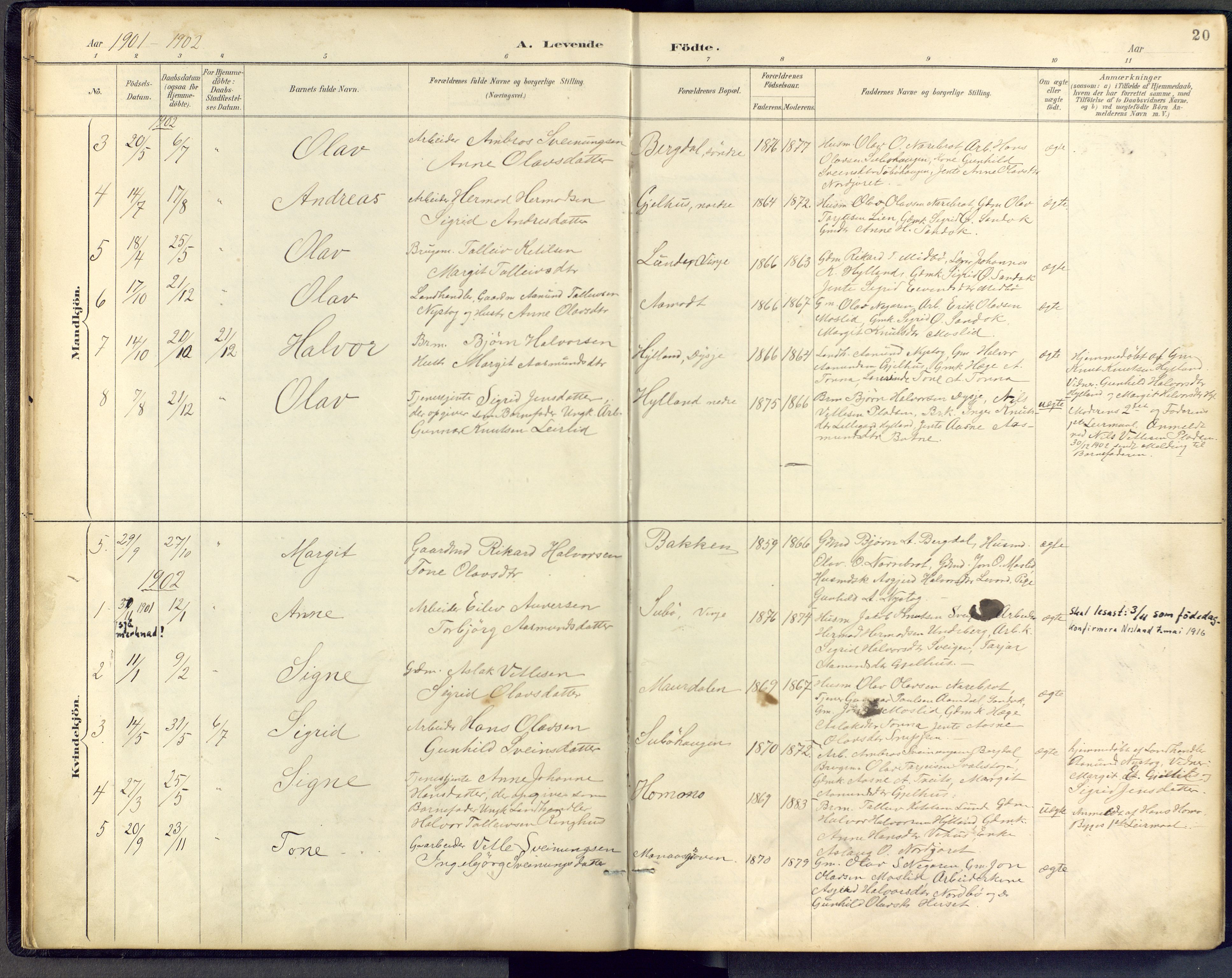 Vinje kirkebøker, AV/SAKO-A-312/F/Fb/L0002: Parish register (official) no. II 2, 1887-1925, p. 20