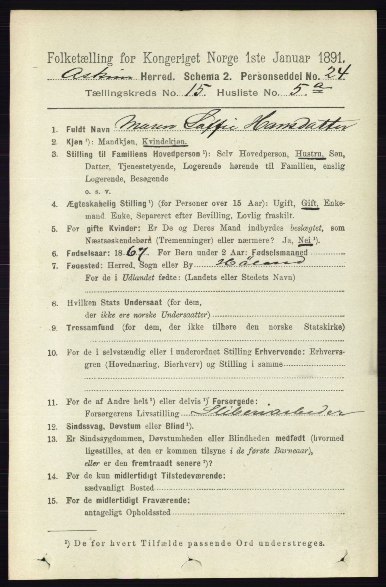 RA, 1891 census for 0124 Askim, 1891, p. 2478