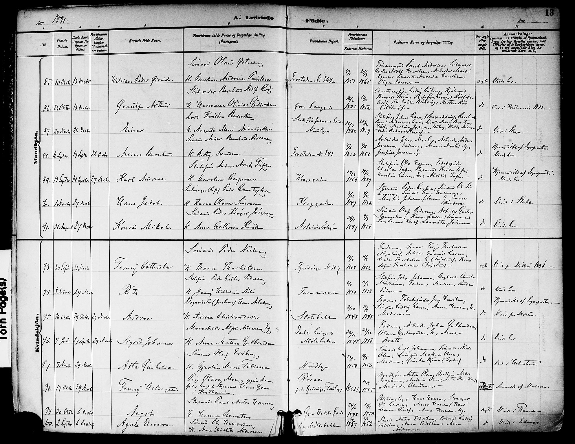 Tønsberg kirkebøker, SAKO/A-330/F/Fa/L0012: Parish register (official) no. I 12, 1891-1899, p. 13