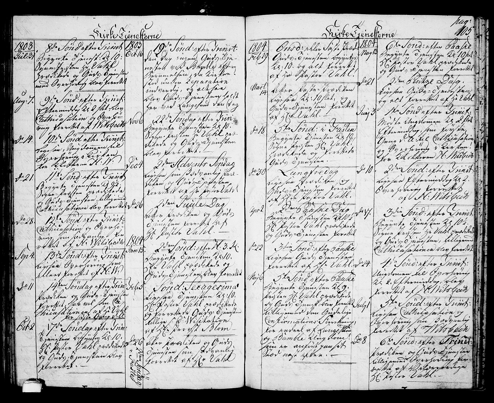 Langesund kirkebøker, SAKO/A-280/G/Ga/L0002: Parish register (copy) no. 2, 1801-1815, p. 105