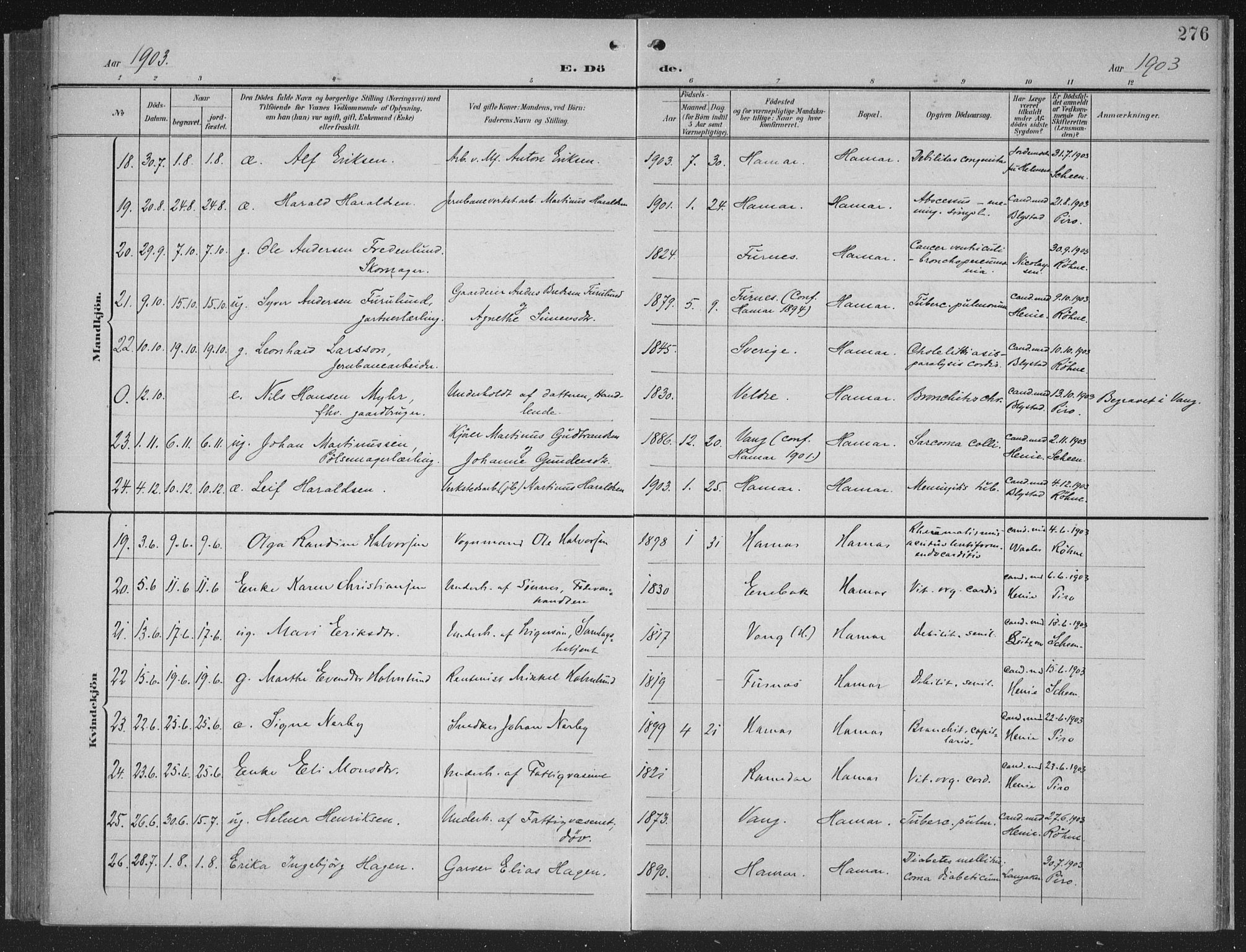 Hamar prestekontor, AV/SAH-DOMPH-002/H/Ha/Haa/L0001: Parish register (official) no. 1, 1900-1914, p. 276