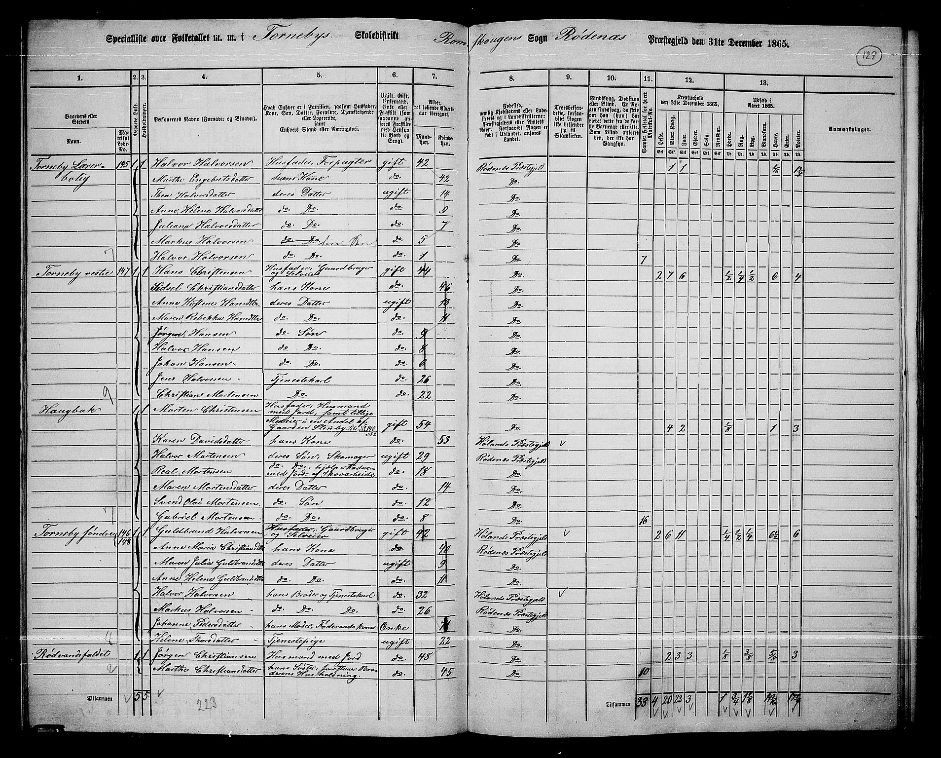 RA, 1865 census for Rødenes, 1865, p. 113