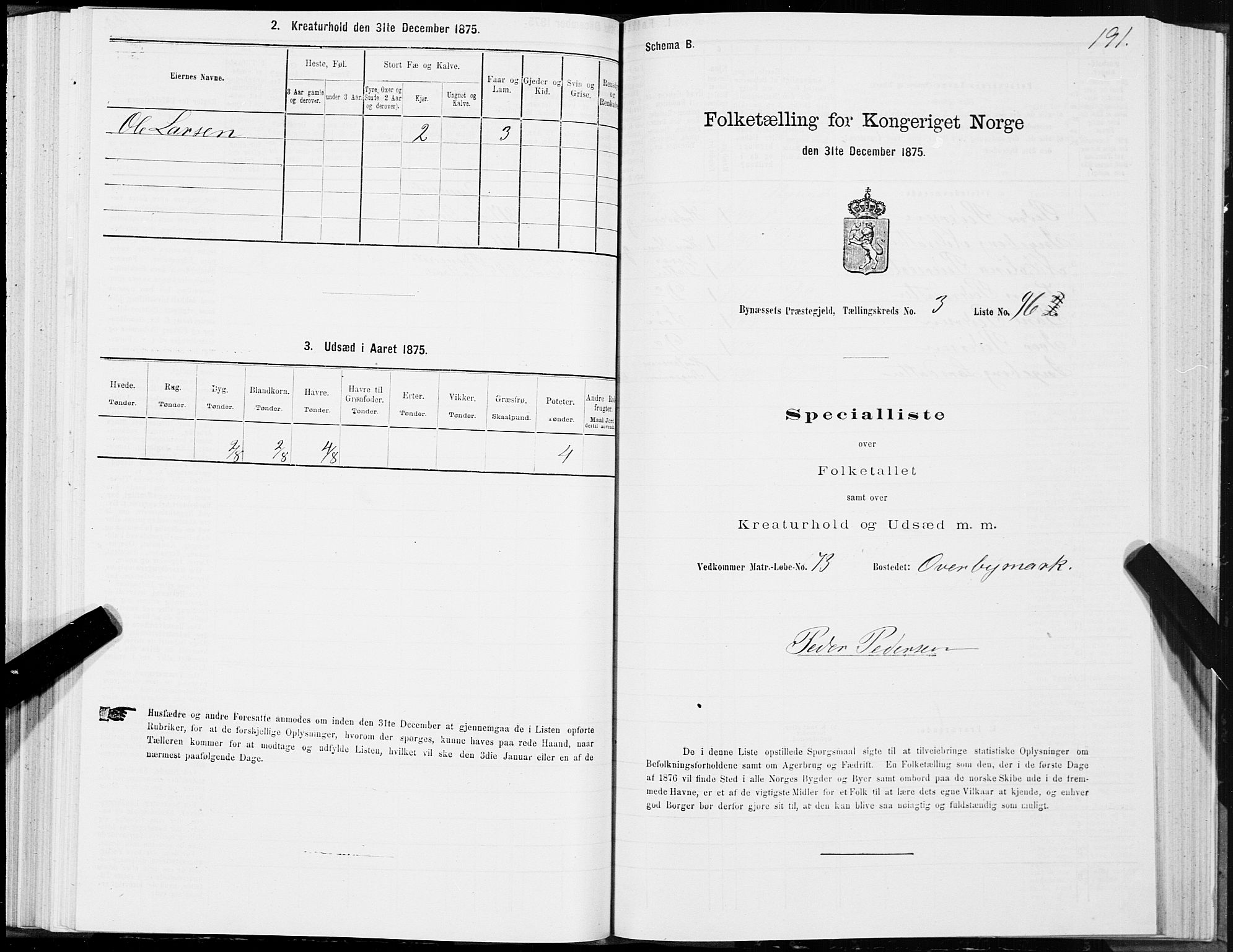 SAT, 1875 census for 1655P Byneset, 1875, p. 2191