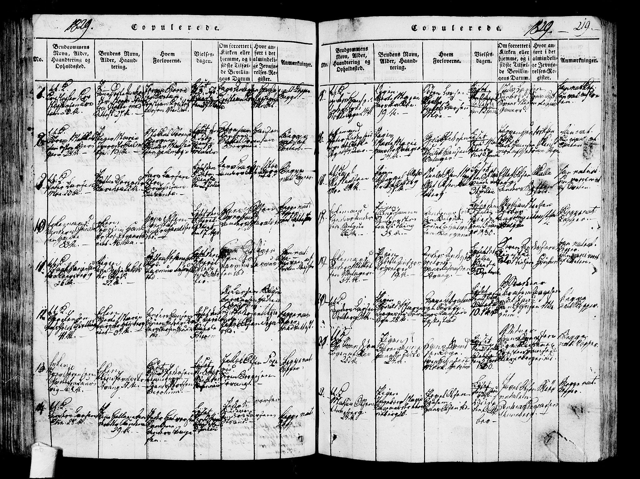 Sandar kirkebøker, AV/SAKO-A-243/F/Fa/L0004: Parish register (official) no. 4, 1814-1832, p. 219