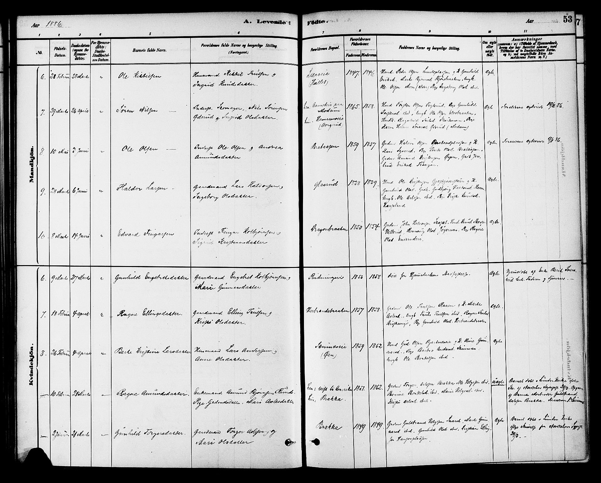 Krødsherad kirkebøker, AV/SAKO-A-19/G/Ga/L0001: Parish register (copy) no. 1, 1879-1893, p. 53