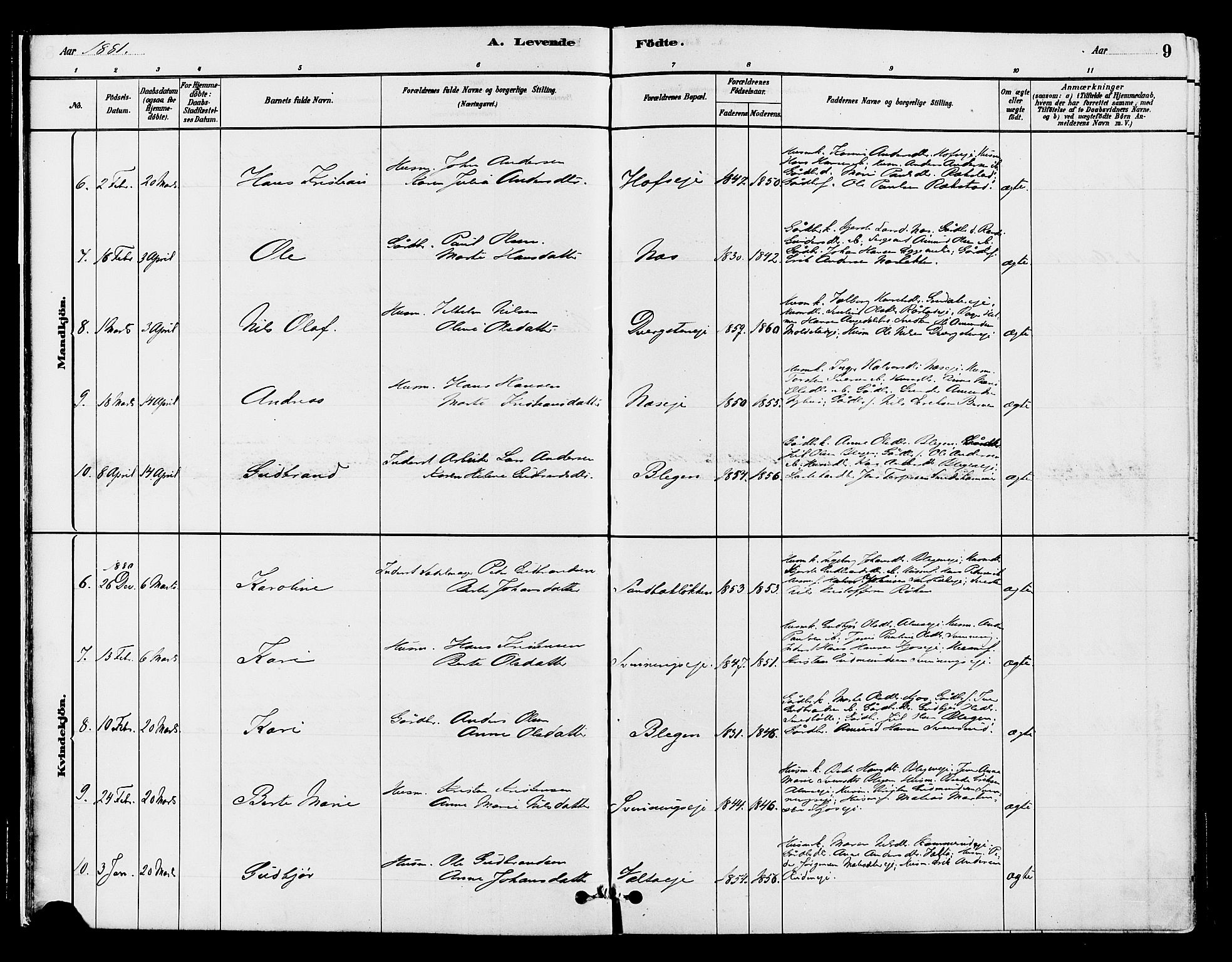 Gran prestekontor, SAH/PREST-112/H/Ha/Haa/L0015: Parish register (official) no. 15, 1880-1888, p. 9