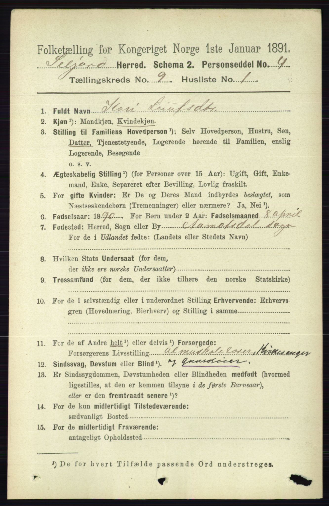 RA, 1891 census for 0828 Seljord, 1891, p. 3174