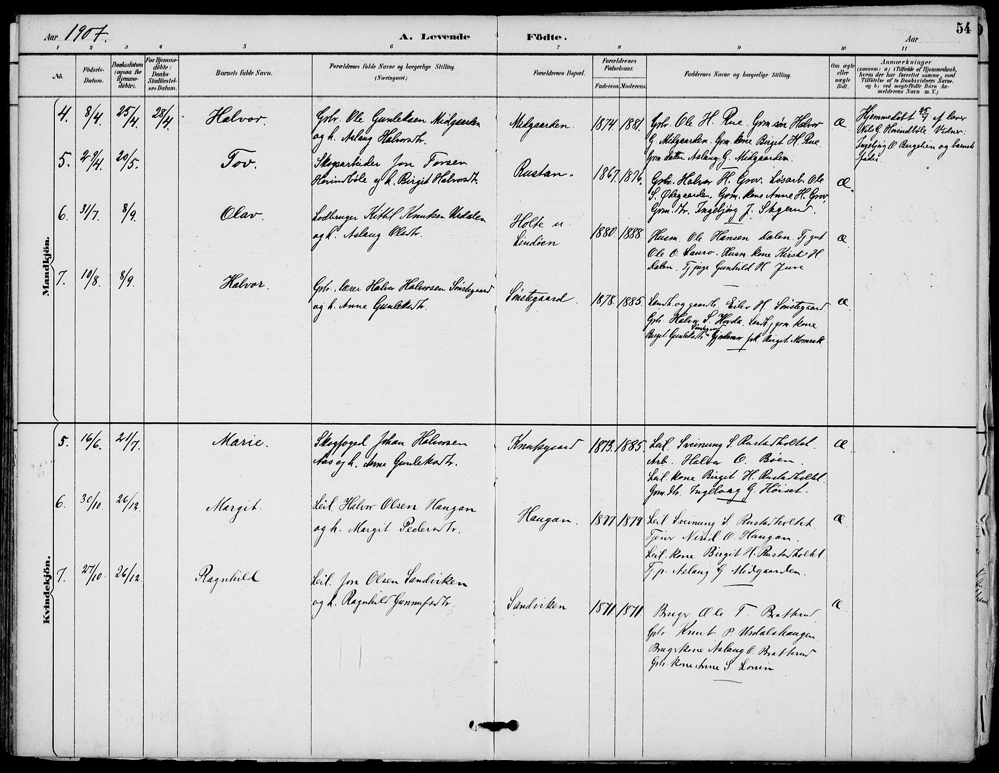 Gransherad kirkebøker, SAKO/A-267/F/Fb/L0005: Parish register (official) no. II 5, 1887-1916, p. 54