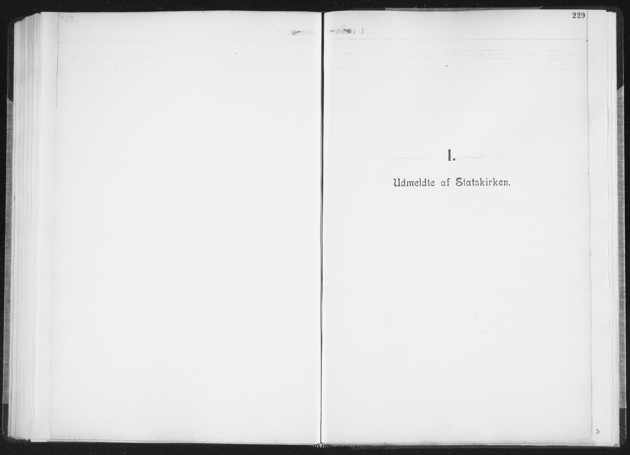 Ministerialprotokoller, klokkerbøker og fødselsregistre - Nordland, SAT/A-1459/850/L0711: Curate's parish register no. 850B01, 1902-1915, p. 229