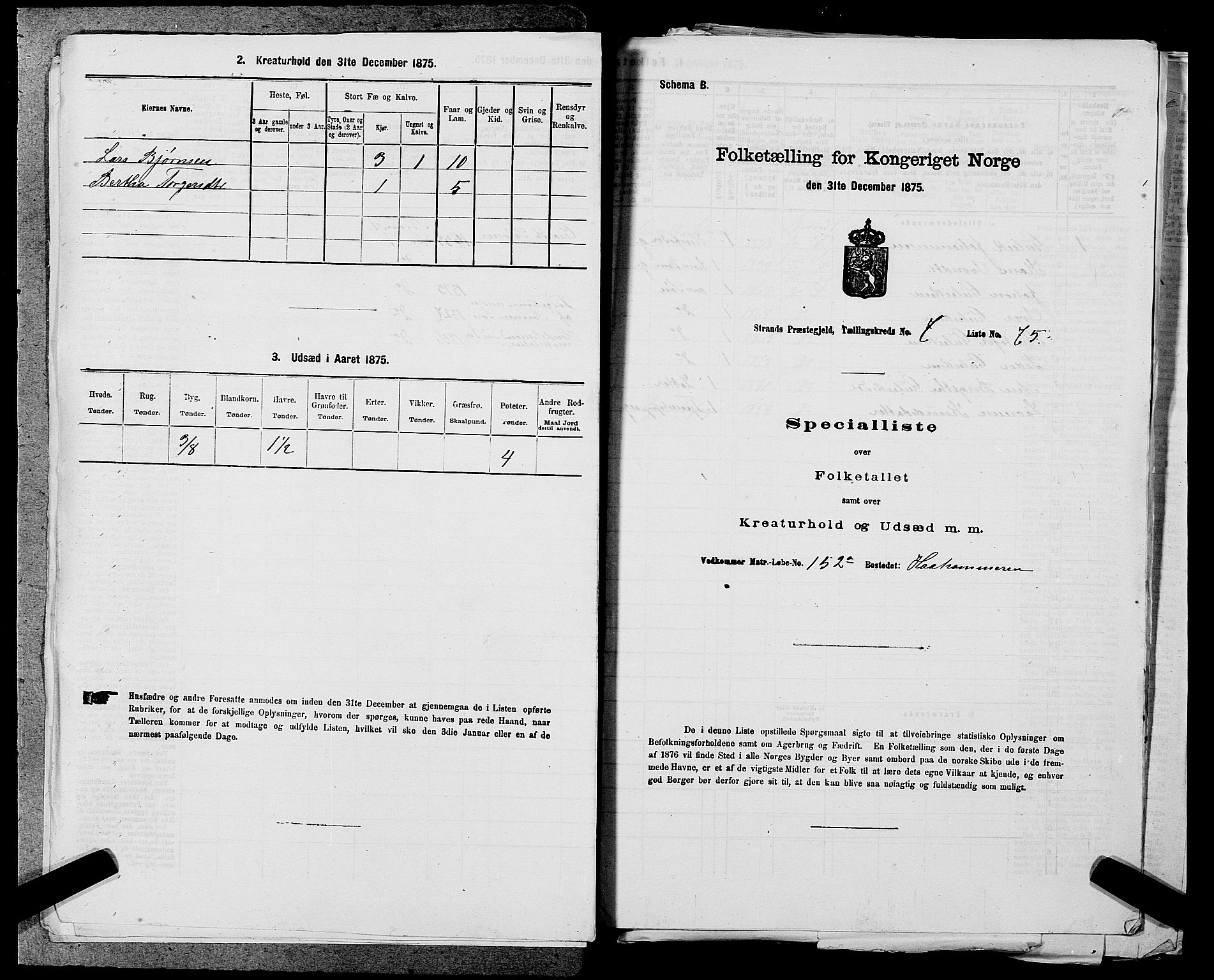 SAST, 1875 census for 1130P Strand, 1875, p. 716