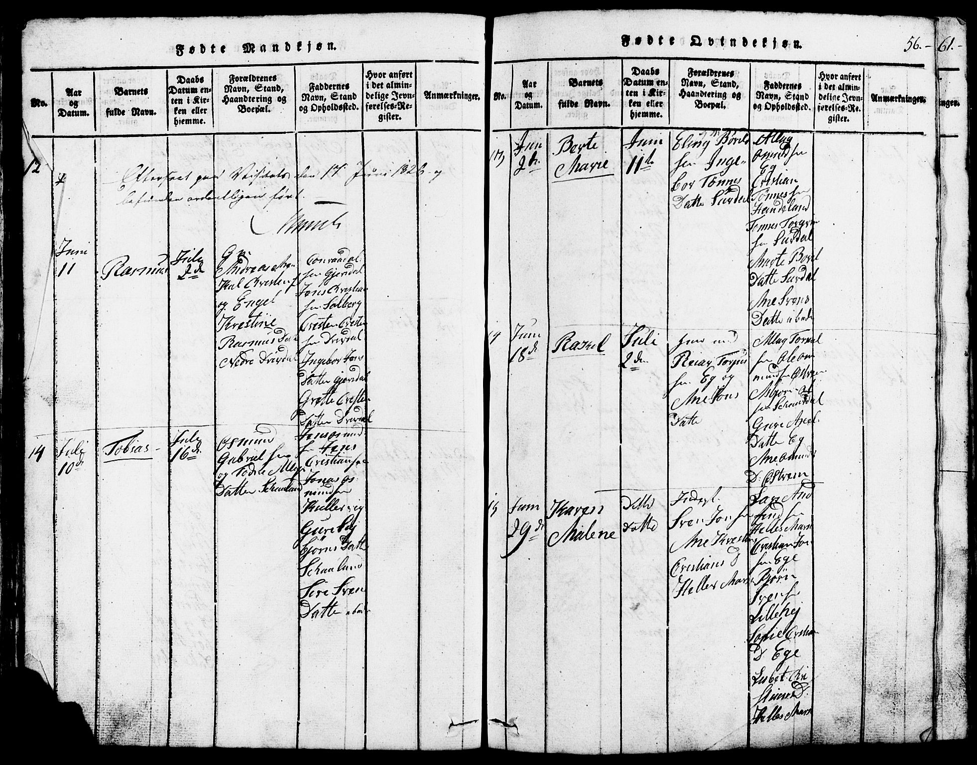 Lund sokneprestkontor, AV/SAST-A-101809/S07/L0002: Parish register (copy) no. B 2, 1816-1832, p. 56