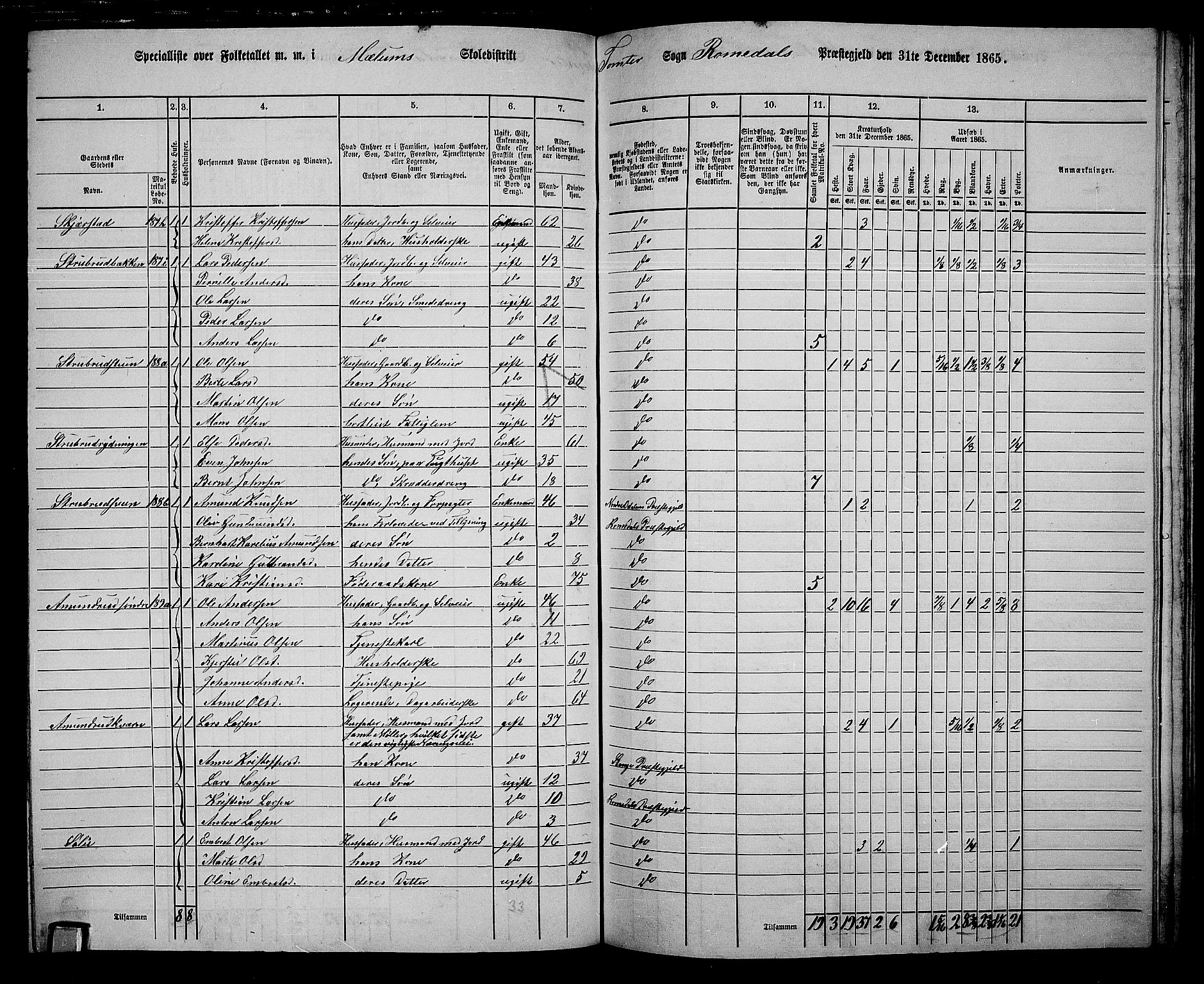 RA, 1865 census for Romedal, 1865, p. 159